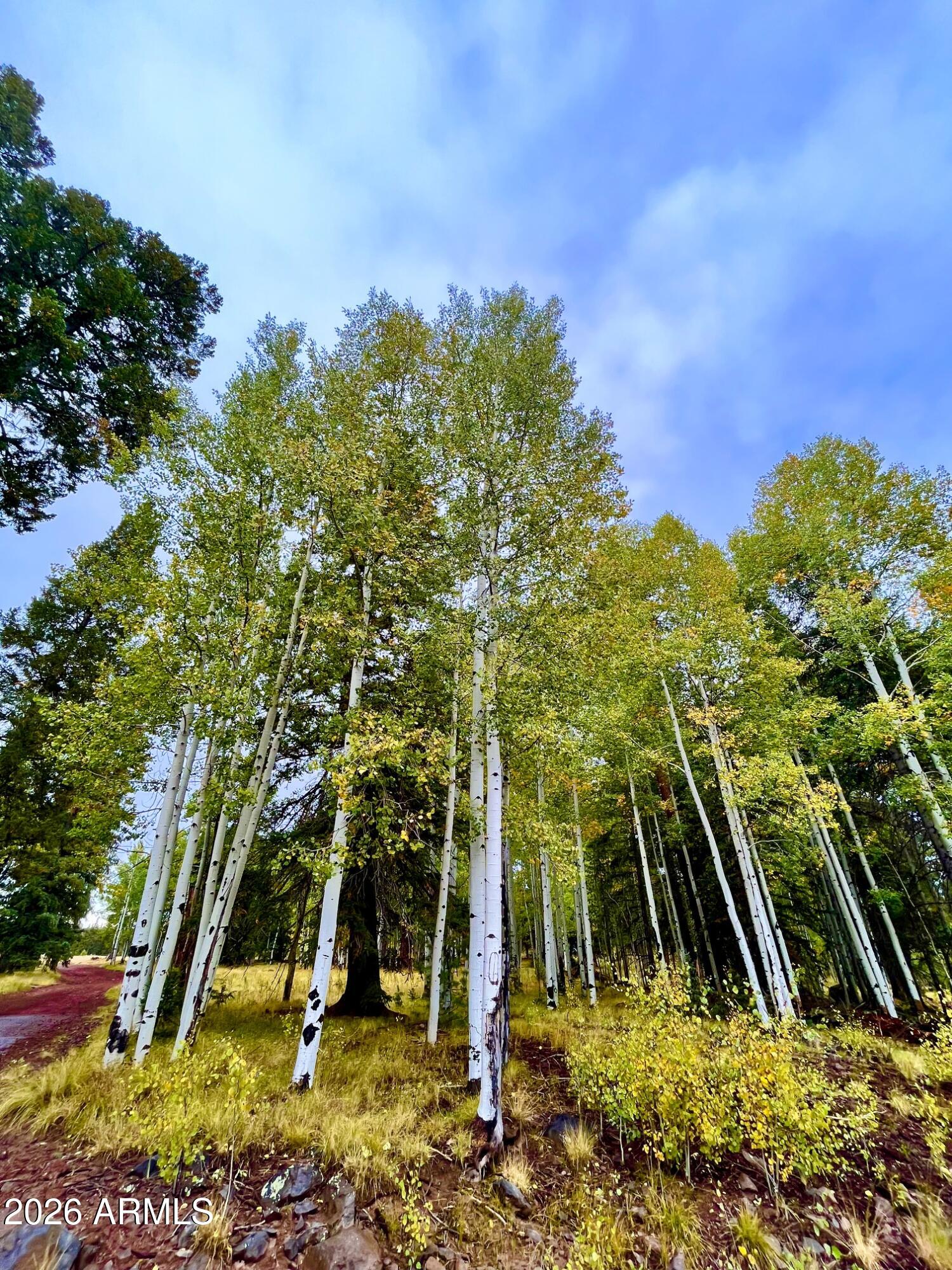 PINETOP LAKES EQUESTRIAN UNIT 1 - Residential