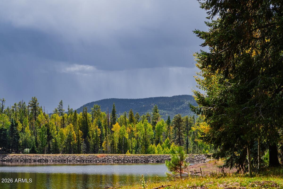 PINETOP LAKES EQUESTRIAN UNIT 1 - Residential