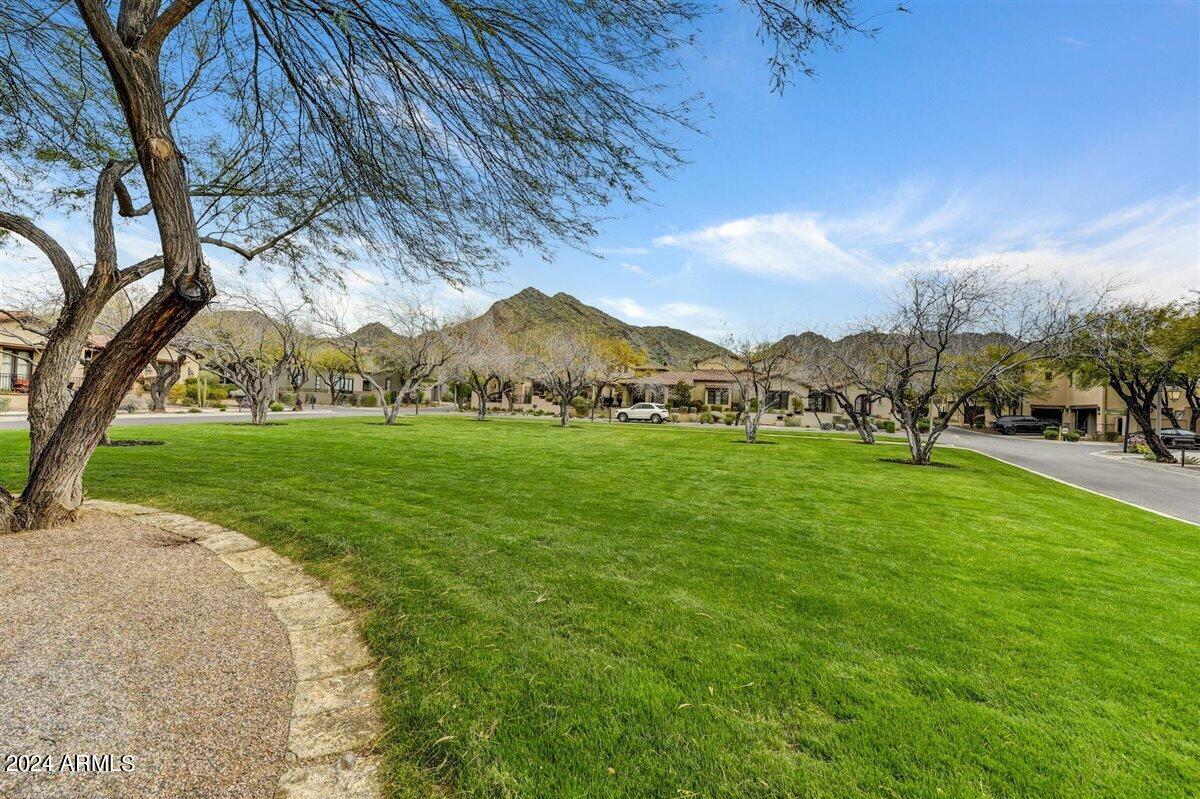 Silverleaf - Residential