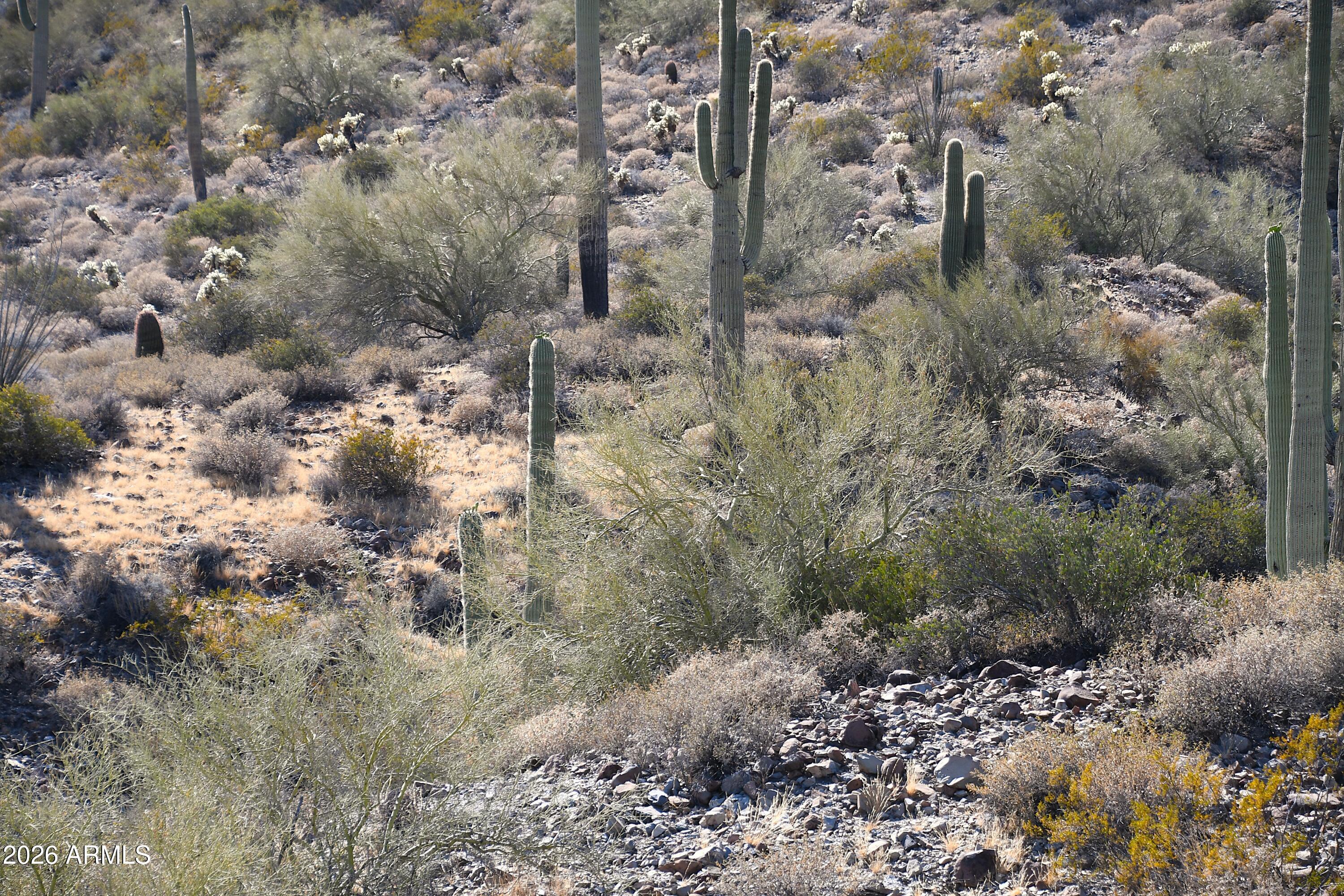 10View Acres - Land