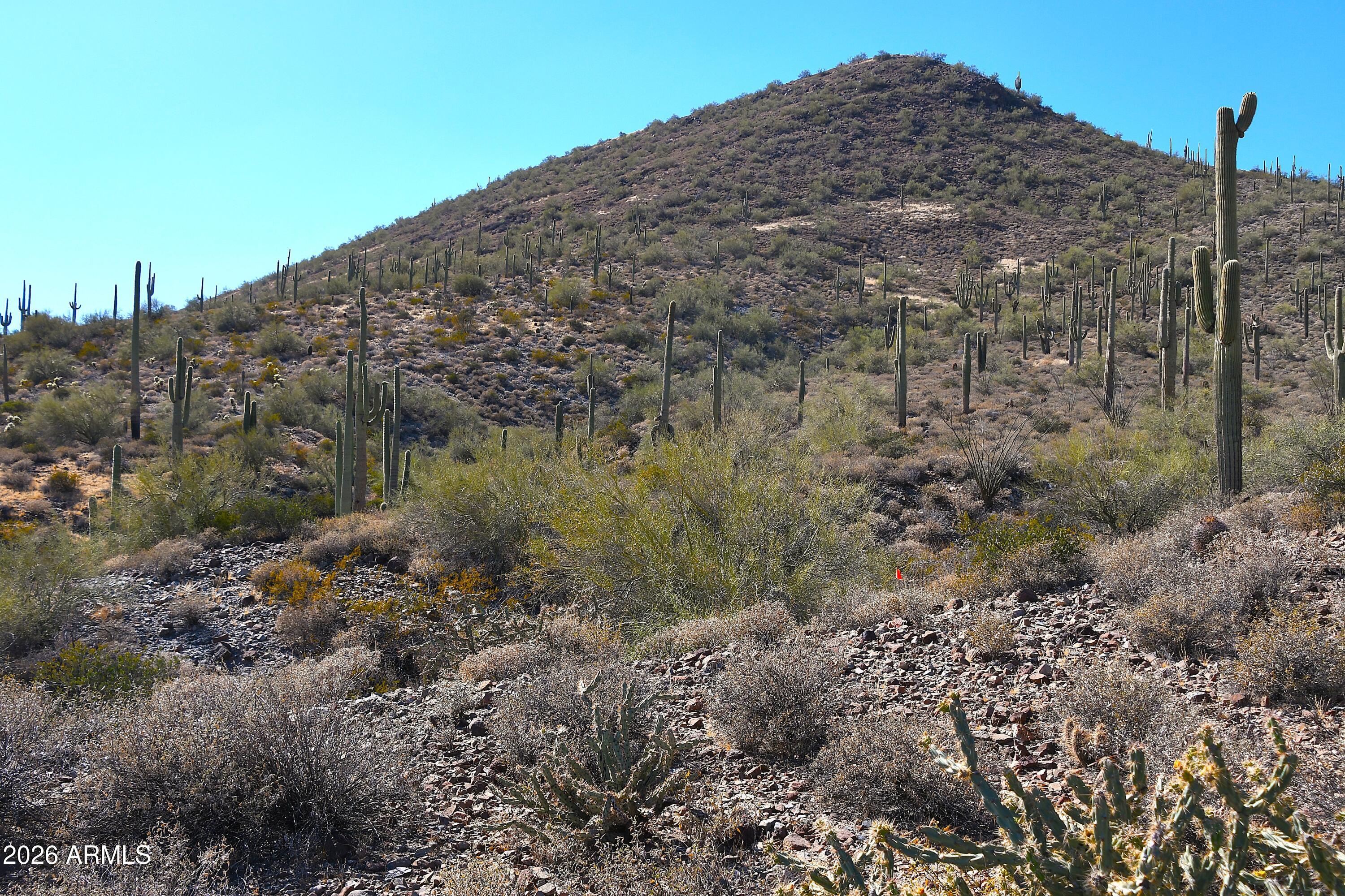 10 acre parcel with mountain views and an excellent location ready for your custom dream home or mini ranch. Unique opportunity to own sizable acreage in Cave Creek. Private, but close to the Town of Cave Creek entertainment. Sizeable level locations to build. Cave Creek DR-190 Zoning - Horses allowed, with restrictions including up to 10 horses.  Disabled 300' well near the center of the property.