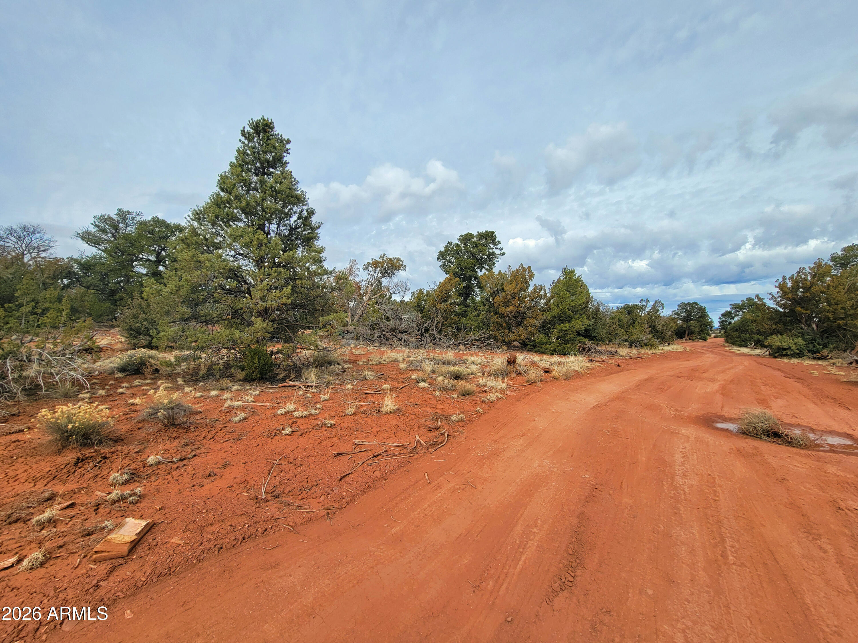 GRAND CANYON 19 - Land