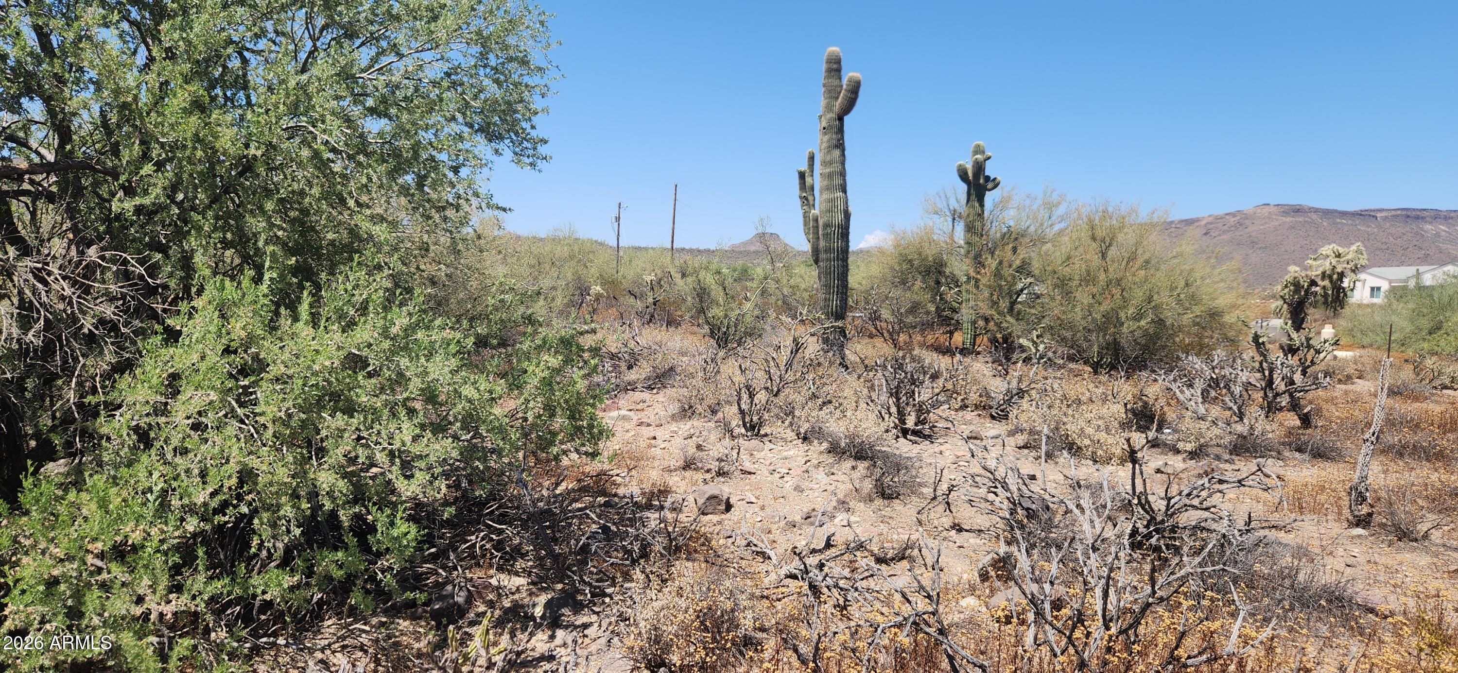 COUNTY POCKET - Land