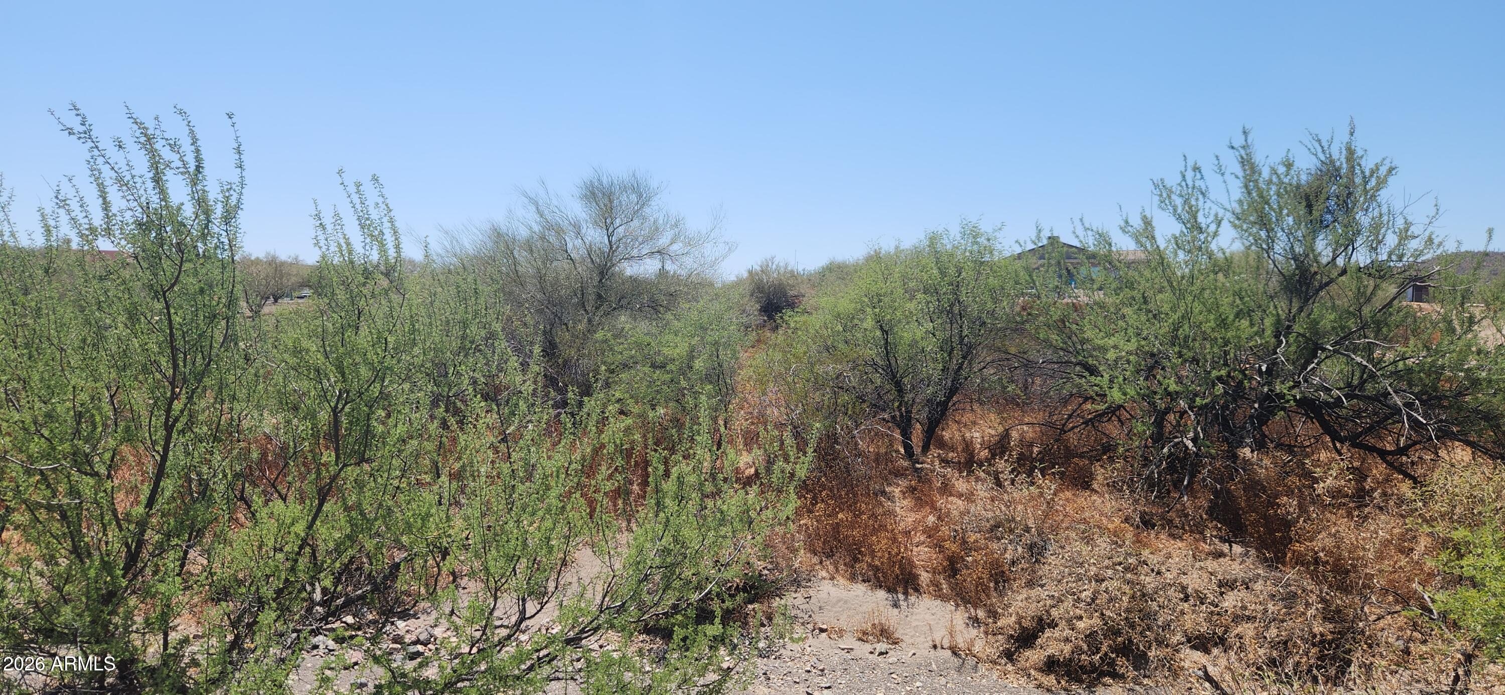 COUNTY POCKET - Land