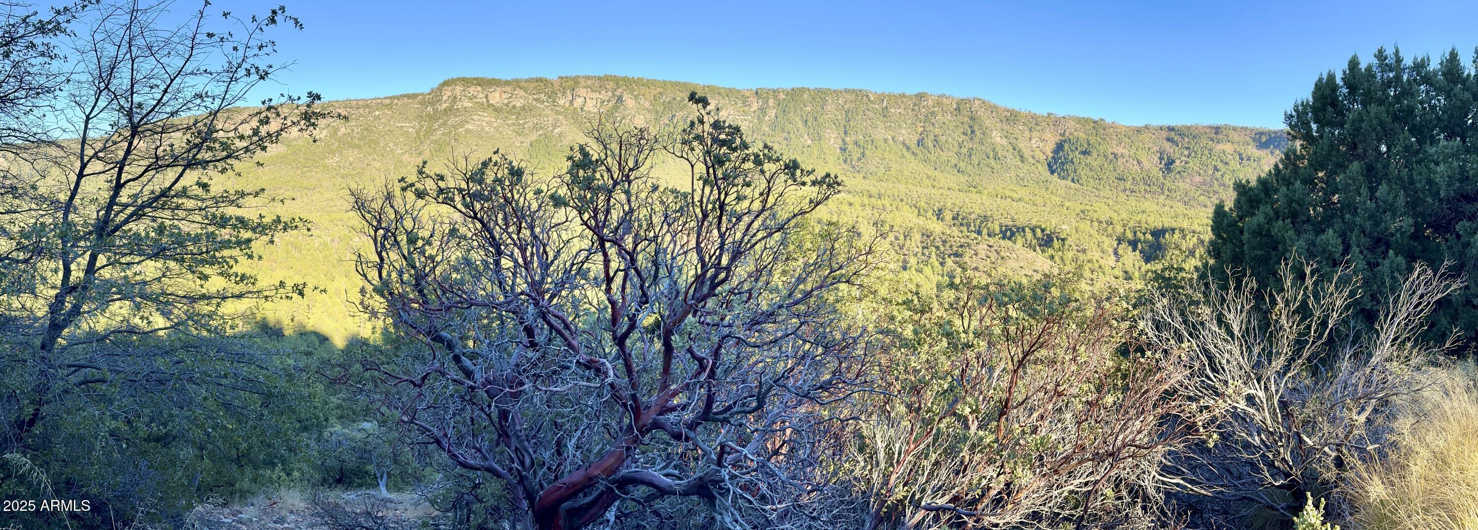 PORTAL PINE CREEK CANYON 3 - Land