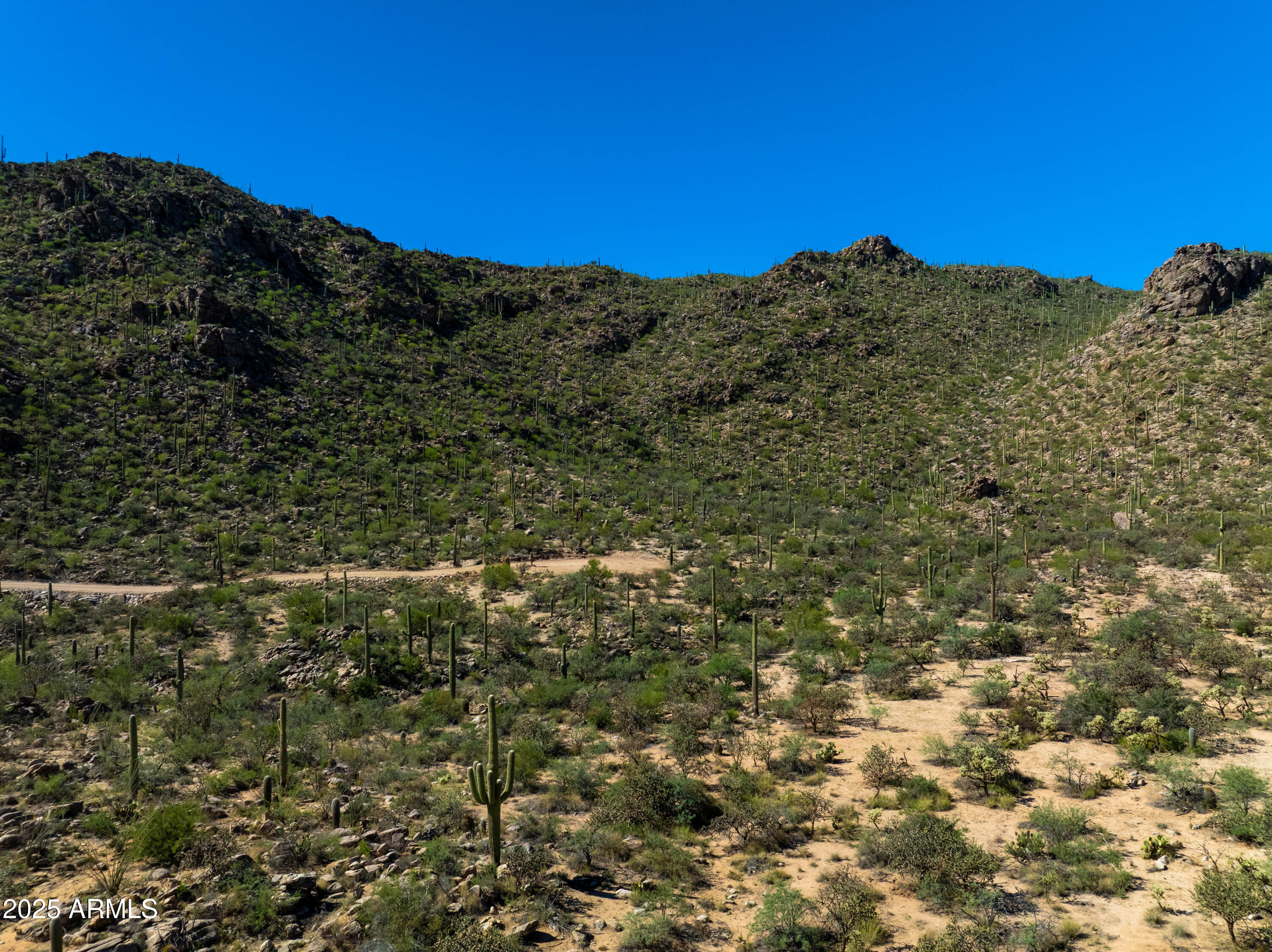 Saguaro Ranch - Land