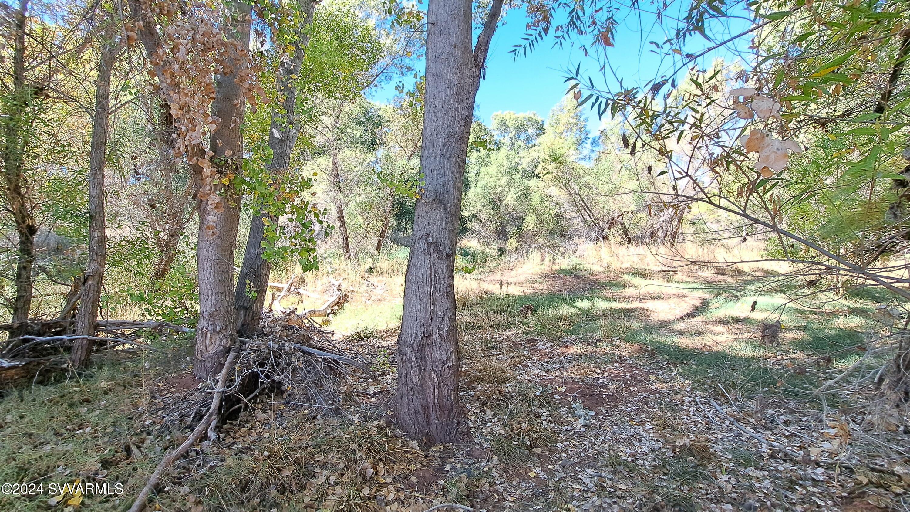 5 Acres or More - Land