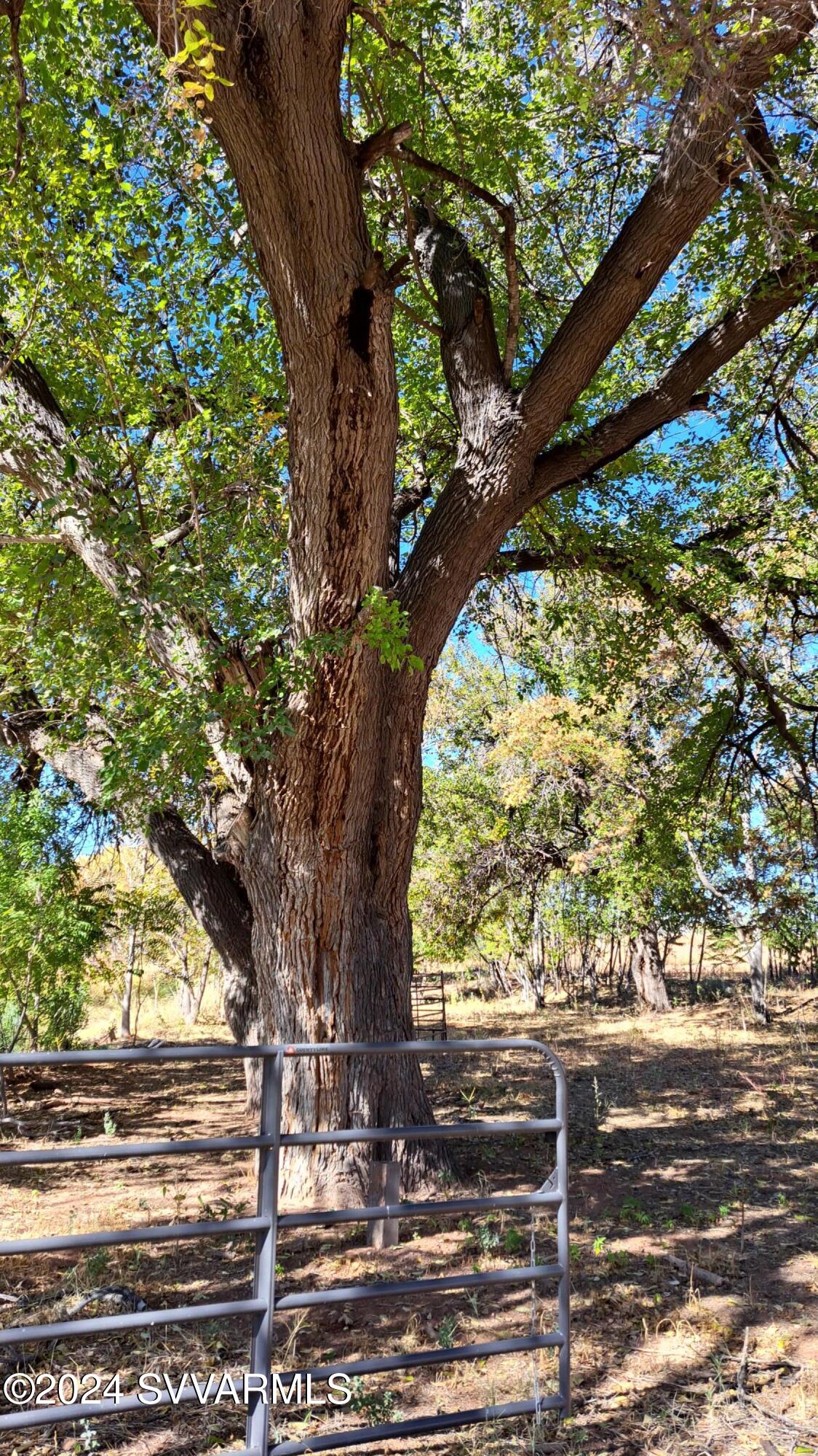 5 Acres or More - Land