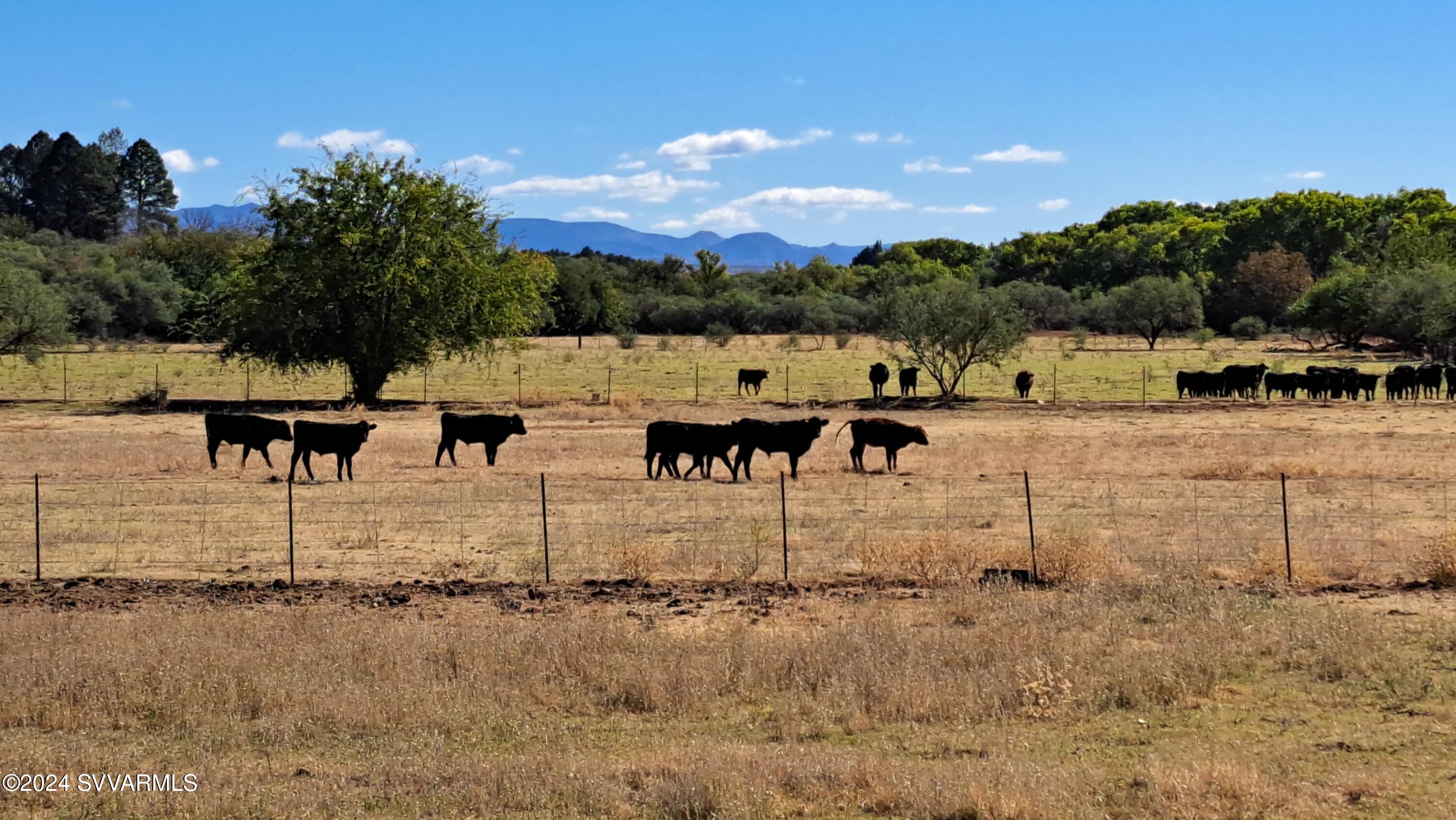 5 Acres or More - Land