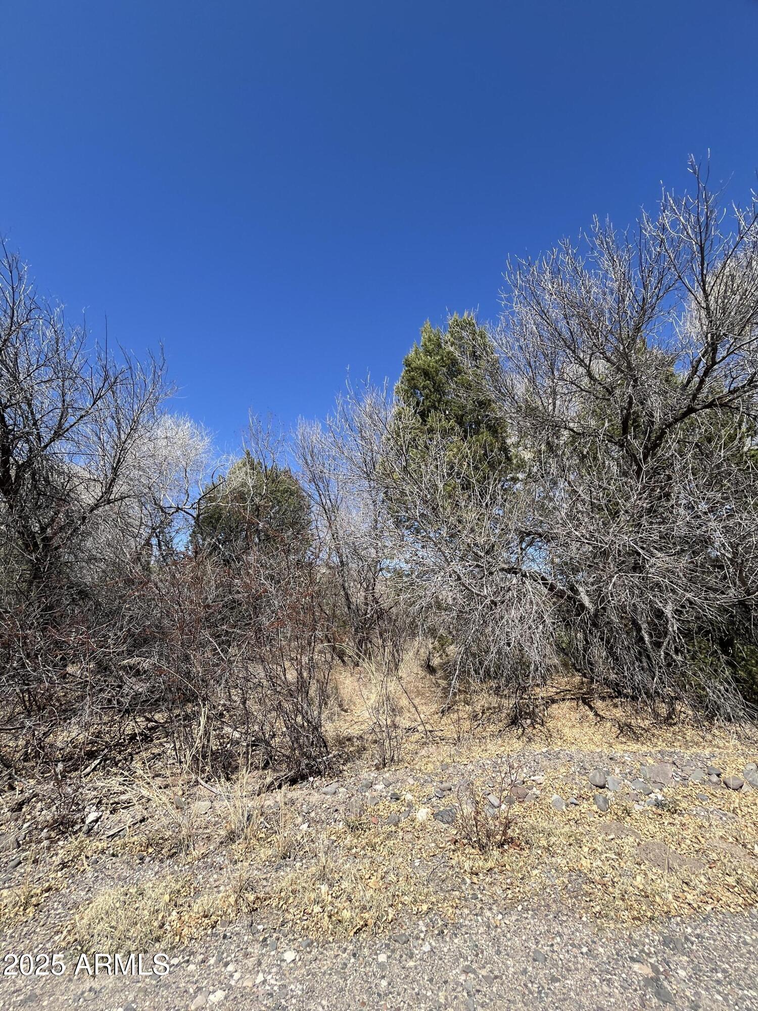 VERDE LAKE ESTATES - Land