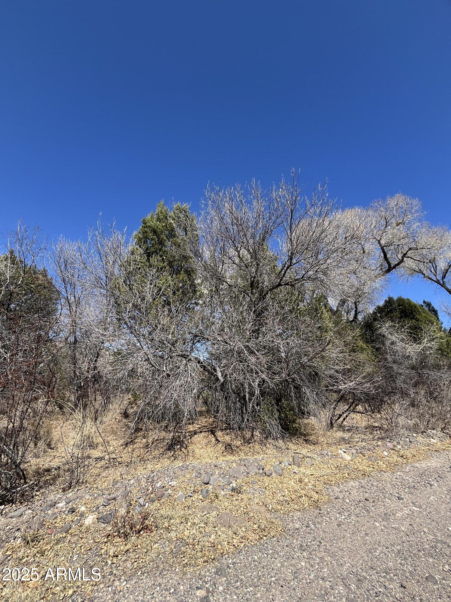 VERDE LAKE ESTATES - Land