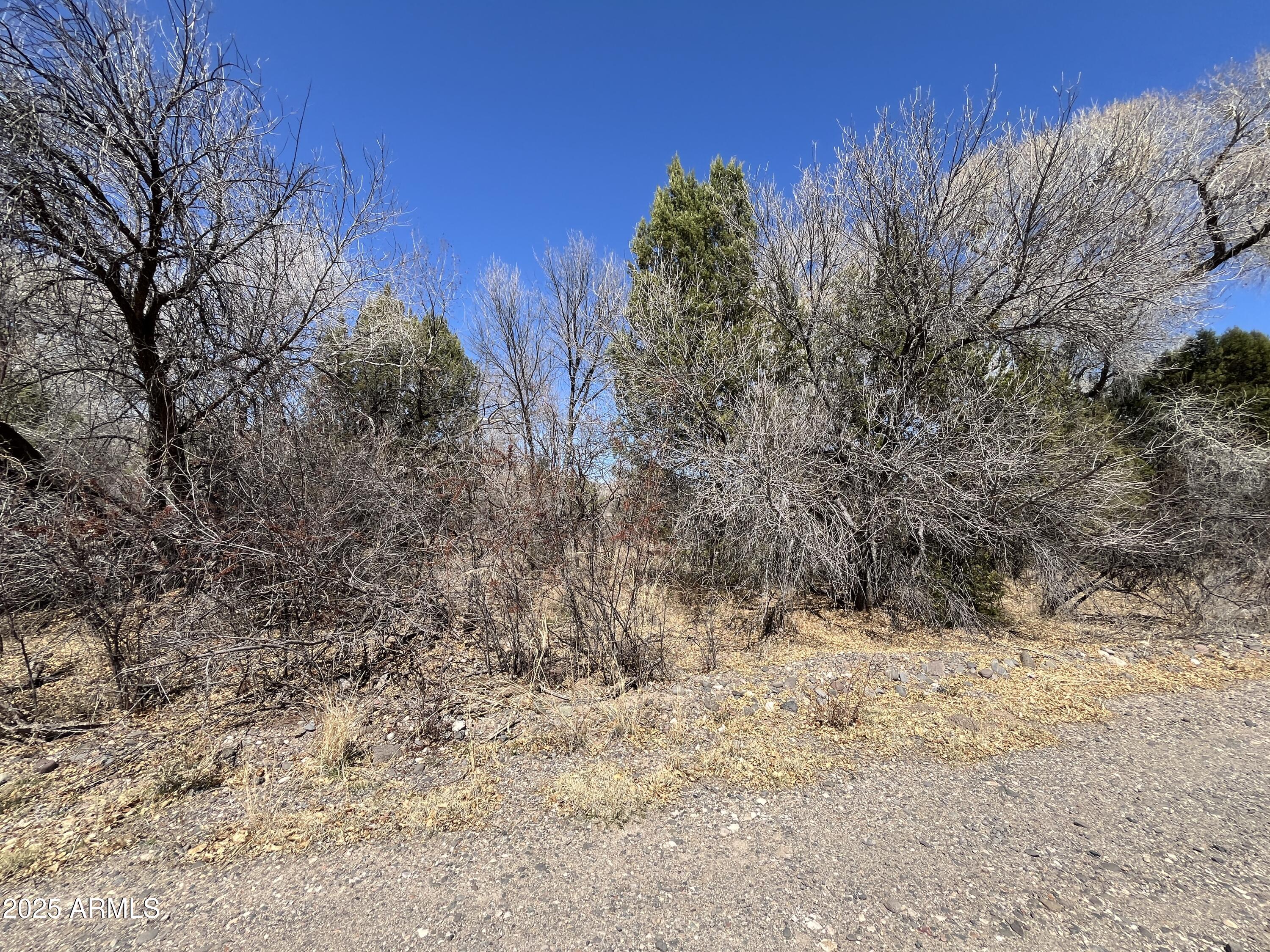 VERDE LAKE ESTATES - Land