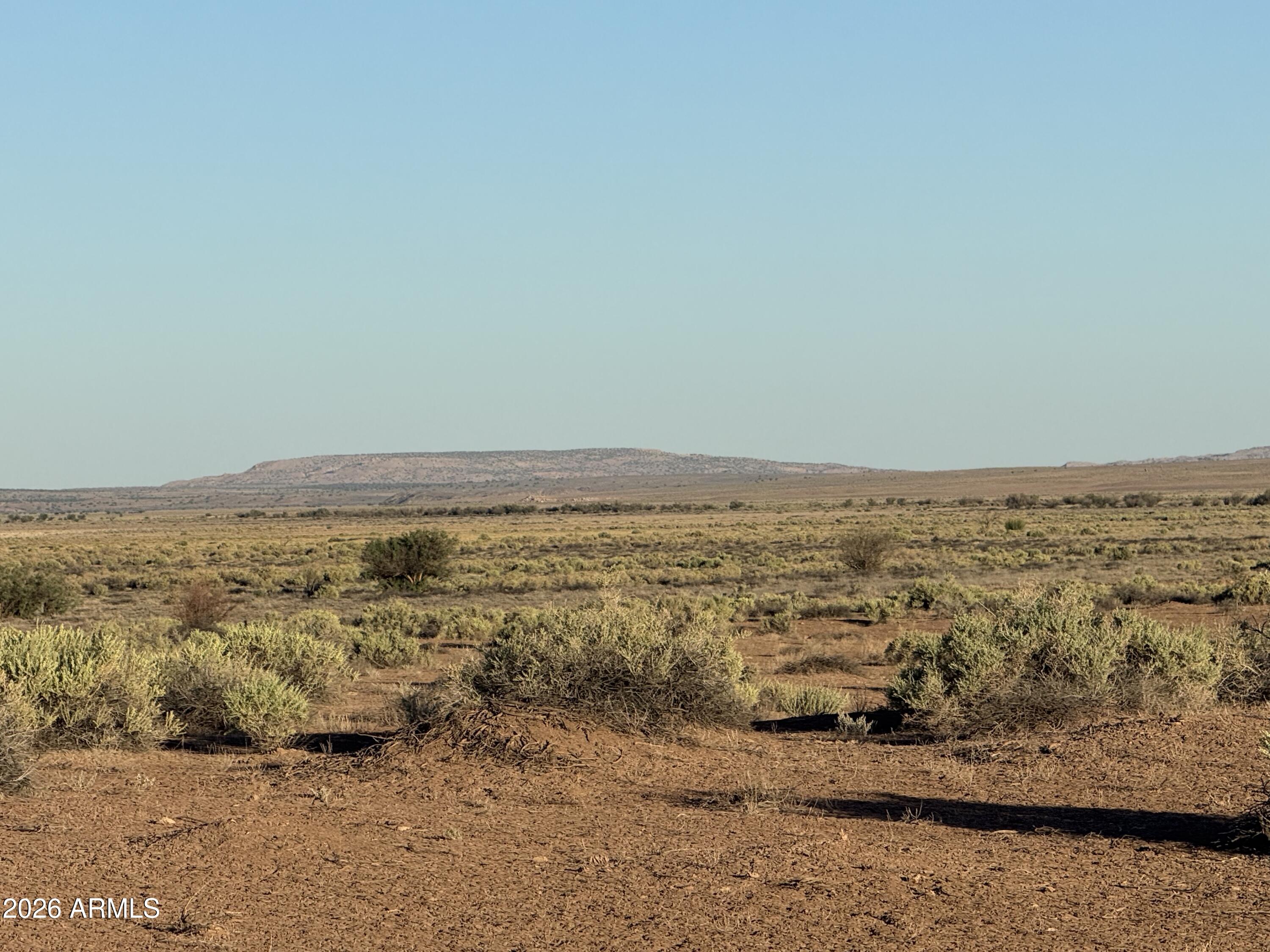 CARRIZO RANCHES - Land
