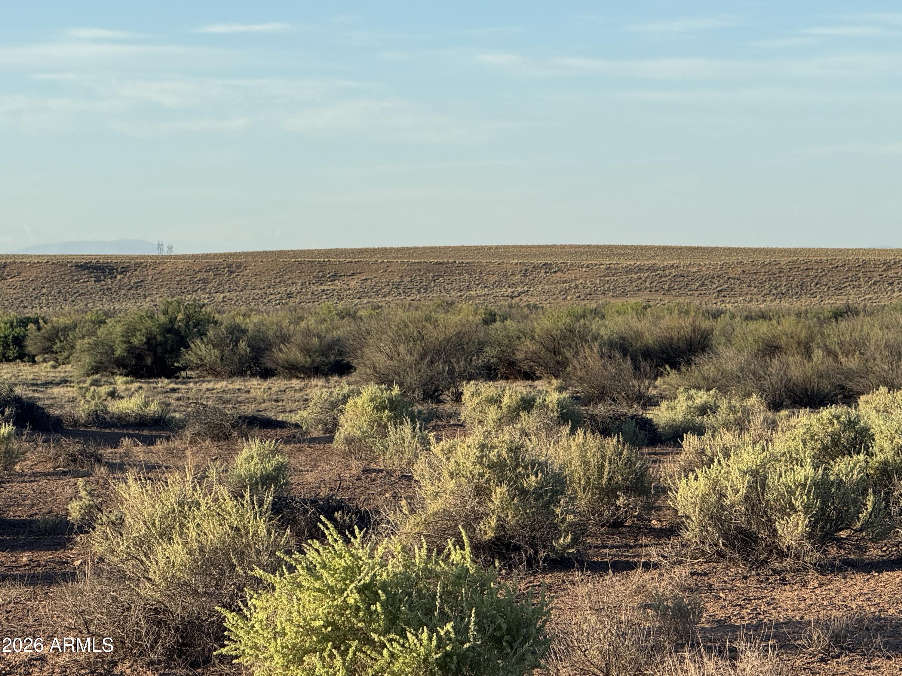 CARRIZO RANCHES - Land