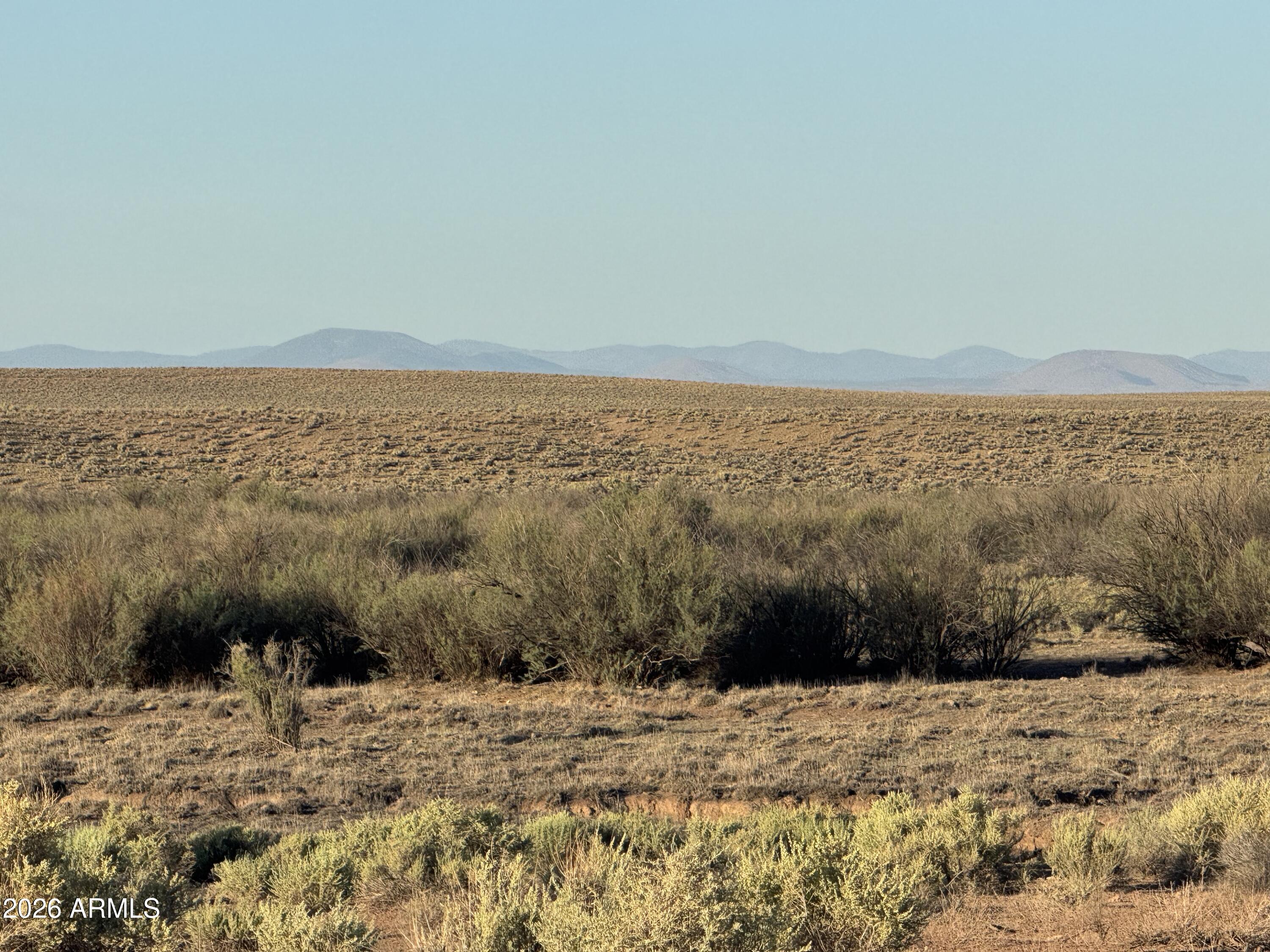 CARRIZO RANCHES - Land