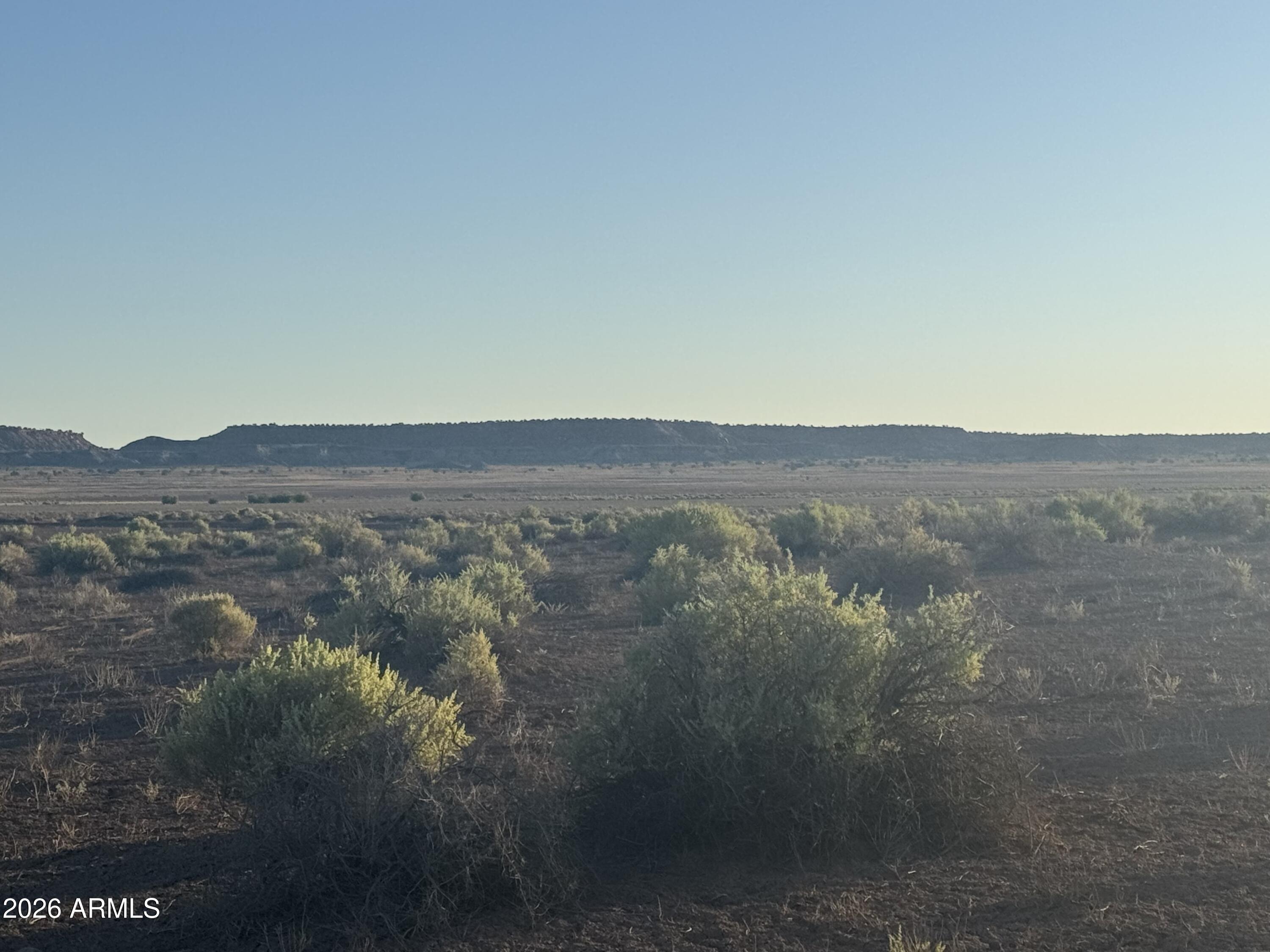 CARRIZO RANCHES - Land