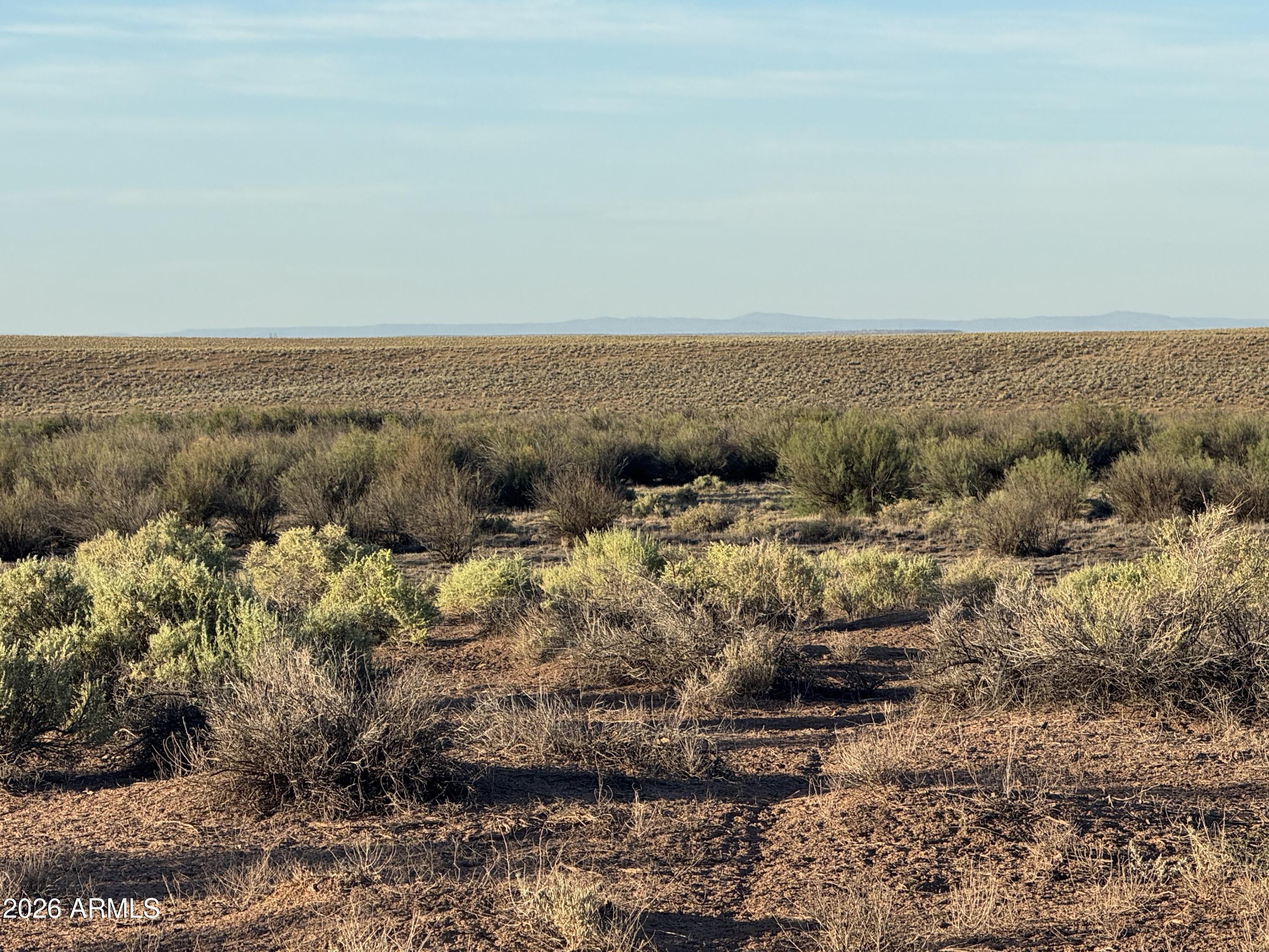 CARRIZO RANCHES - Land