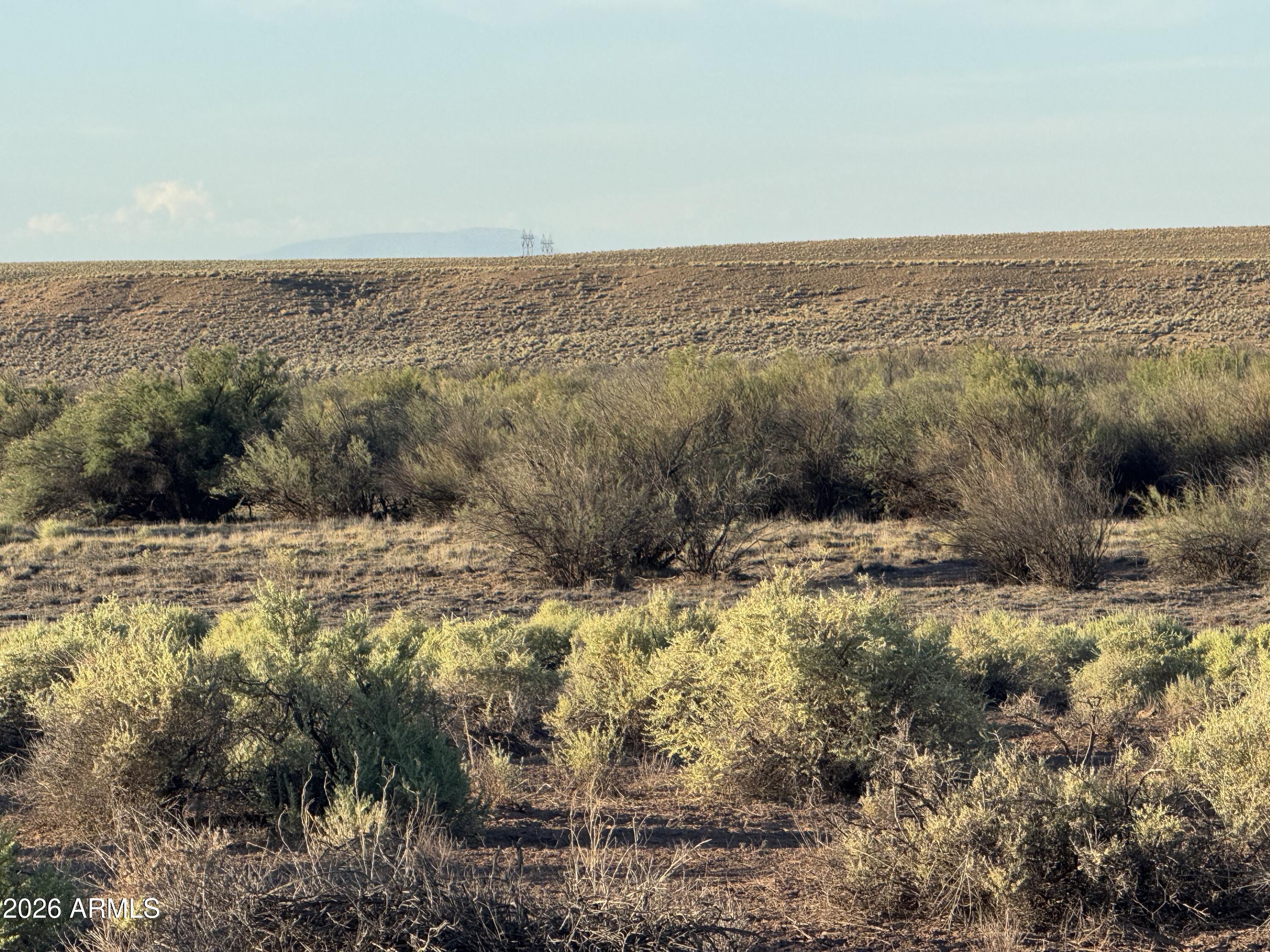 CARRIZO RANCHES - Land