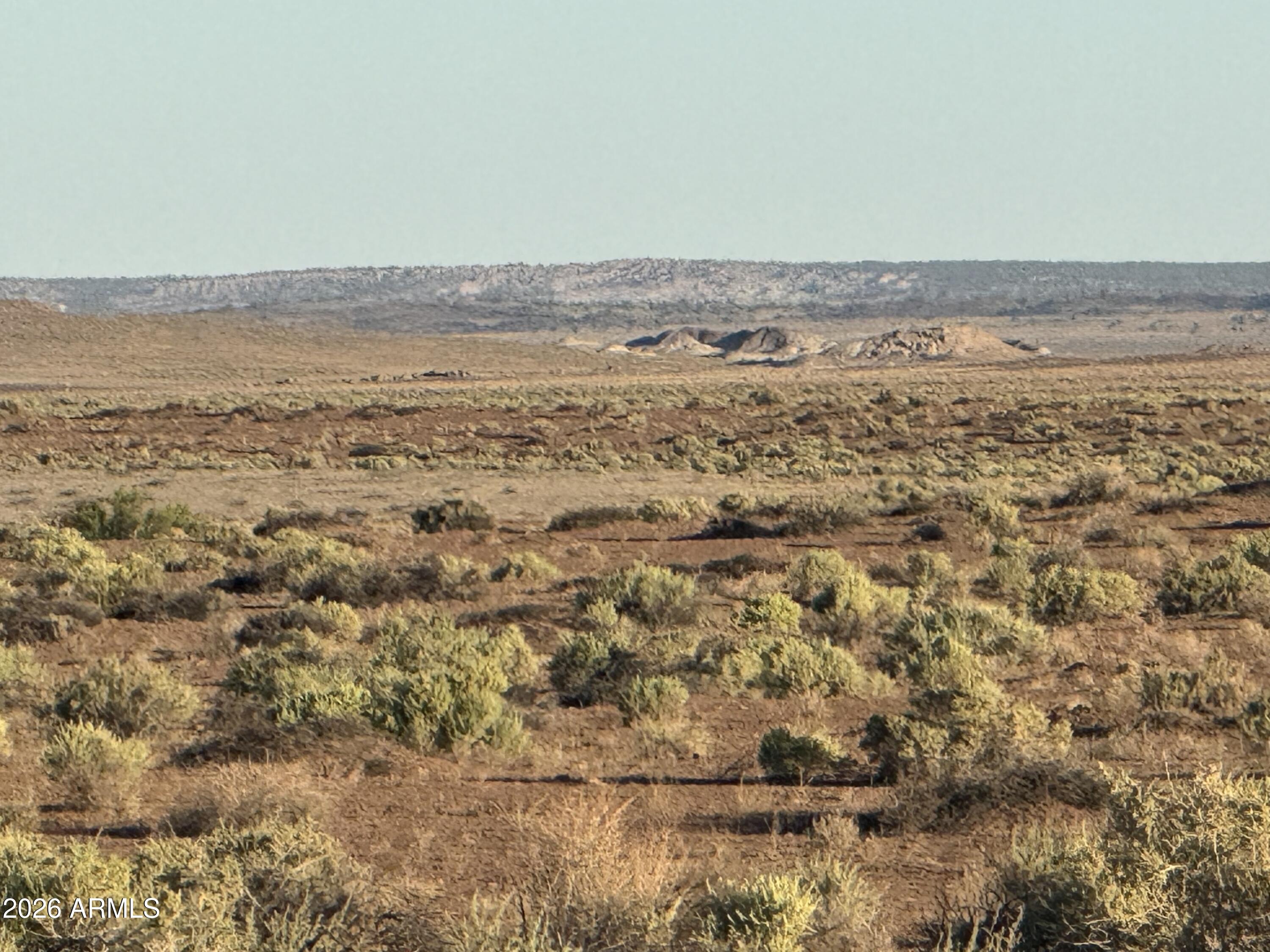 CARRIZO RANCHES - Land