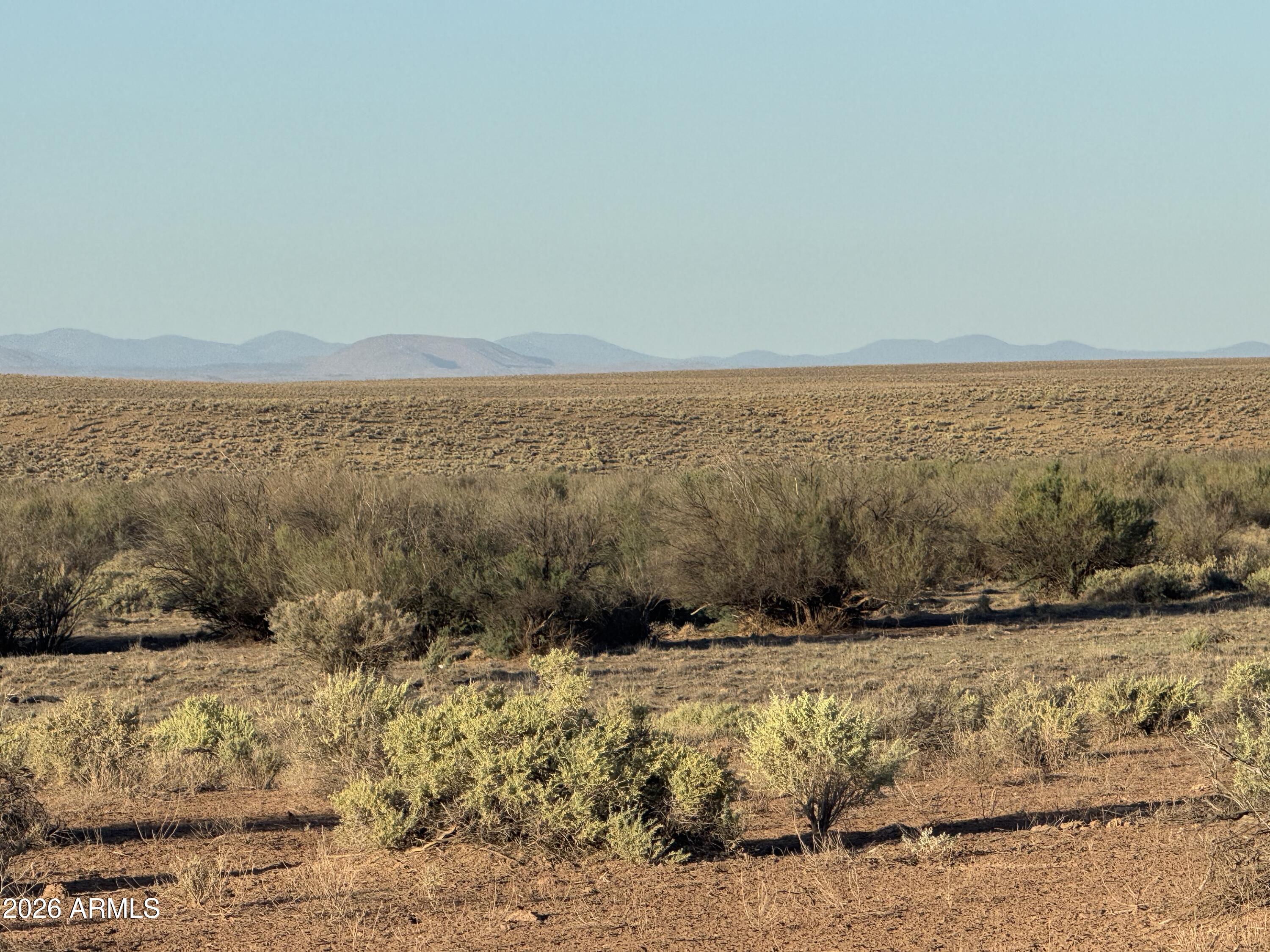 CARRIZO RANCHES - Land
