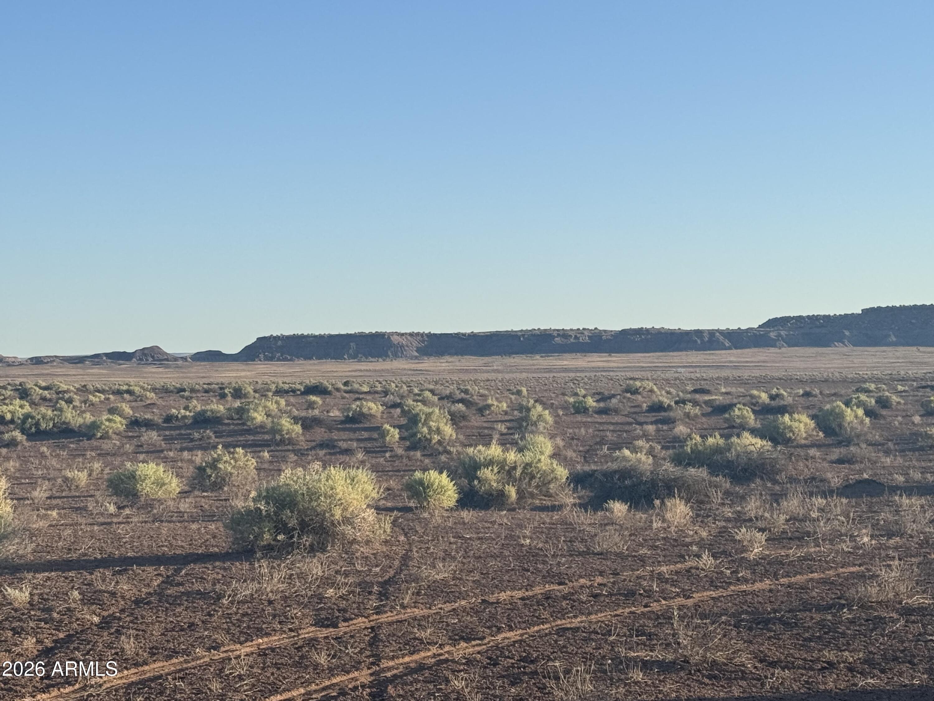 CARRIZO RANCHES - Land