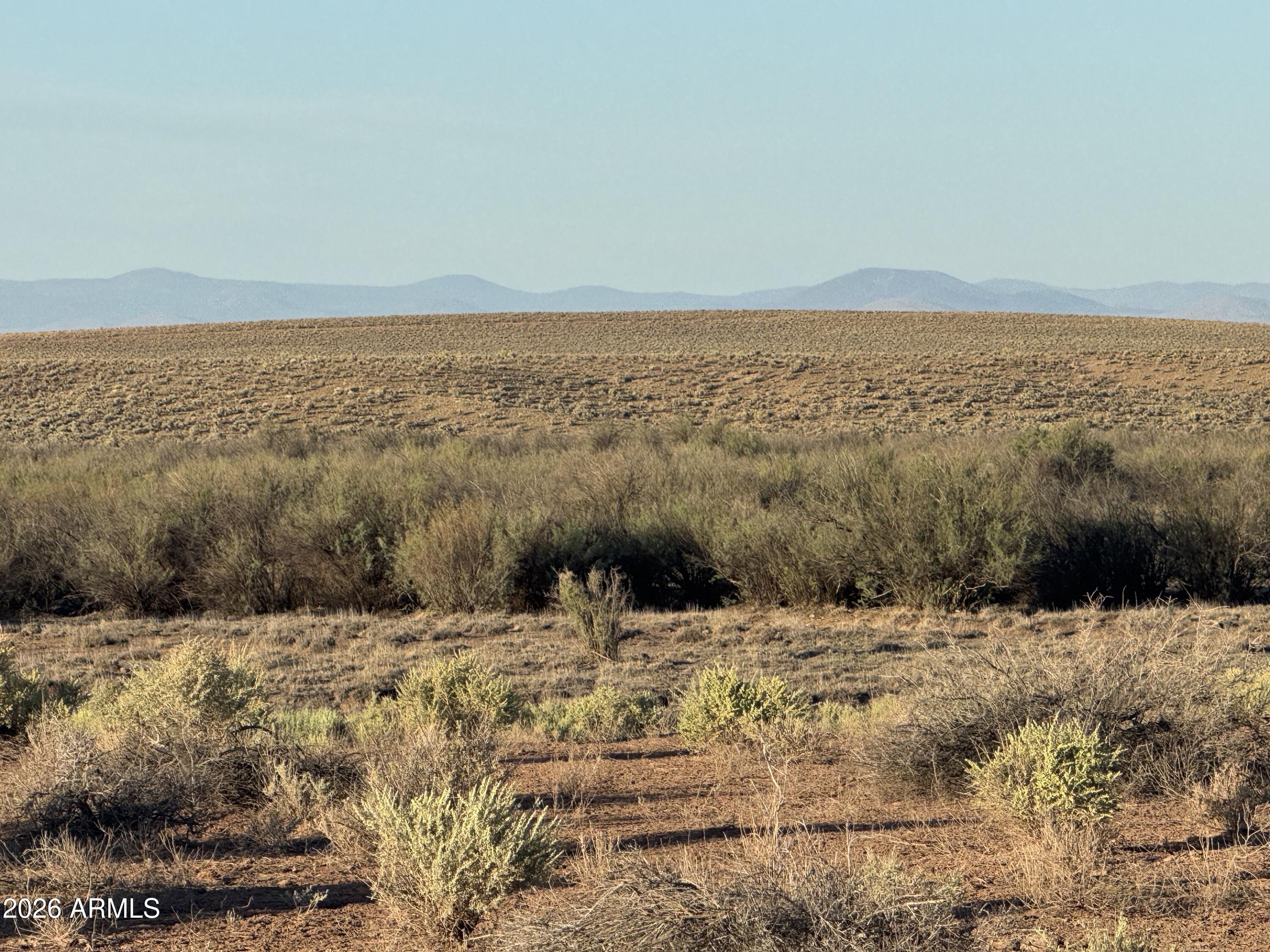 CARRIZO RANCHES - Land