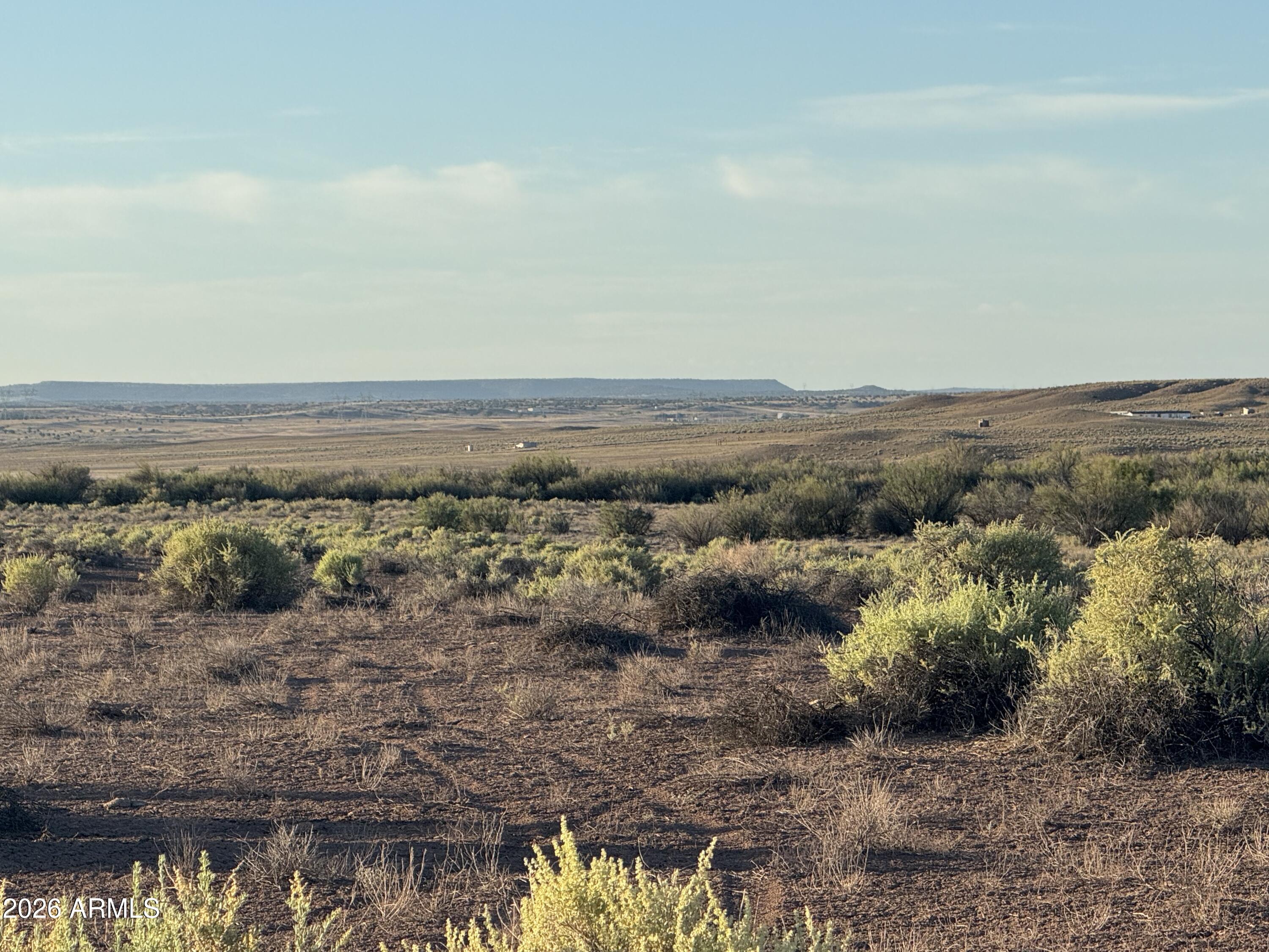 CARRIZO RANCHES - Land