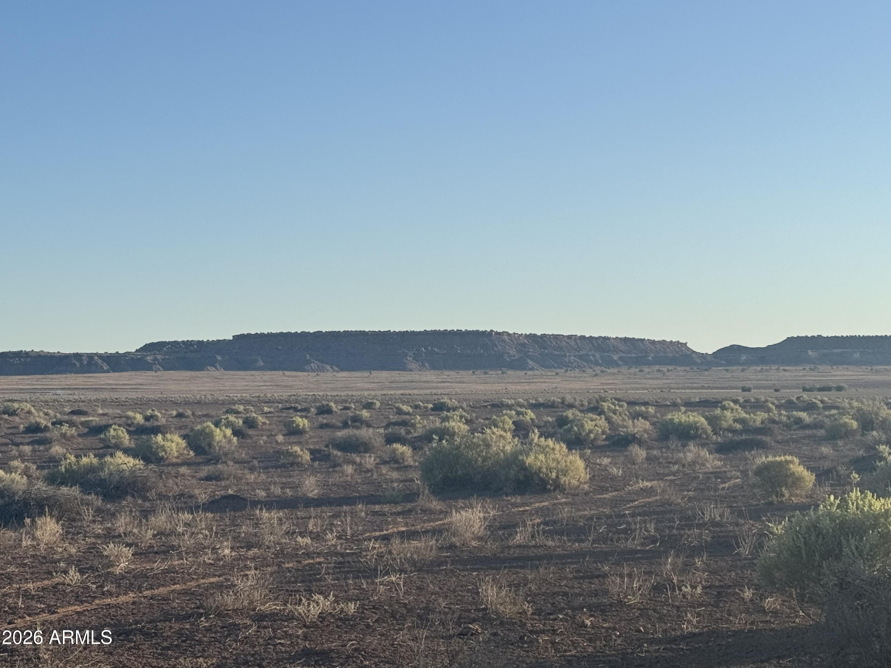 CARRIZO RANCHES - Land