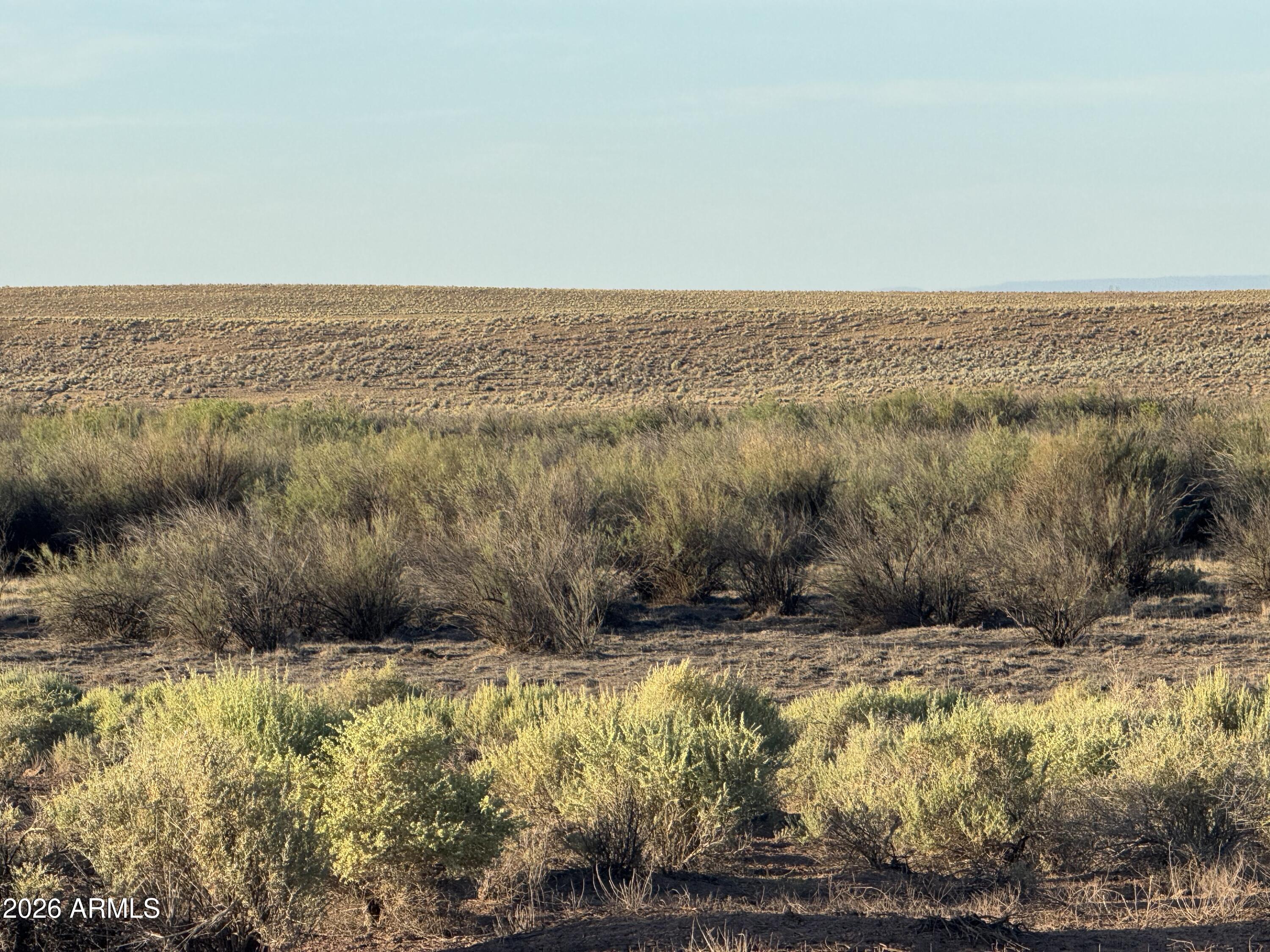 CARRIZO RANCHES - Land