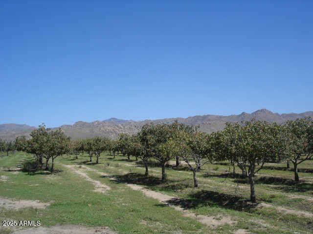 VACANT LAND - Land