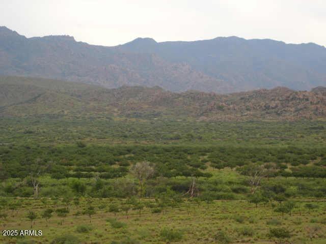 Stunning 424.28 +/- acres of pristine land (Parcels 202-15-009B & 202-15-012K) NO HOA, NO CC&R'S, 5 domestic & irrigation wells, APS primed for hookup; 70 acres of Pistachio Trees planted in mid-80's. Land is known for its shallow groundwater. Opportunity/asset for a developer, family estate, private farm, horse, or gentleman's ranch. Land was part of Hawkins Ranch once farmed in the 1940's to 1970's. Finding land with irrigation wells is valuable & difficult to find this close to Wickenburg. Approx 15 miles northwest of Wickenburg city limits. Zoned one home per two acres. Property outside AMA & adjudication area. Communities along HWY 89 such as Wickenburg Ranch on the way to property. Enjoy cooler temps at 3300' elevation & panoramic views of Weaver Mountains. Buyer to verify info.