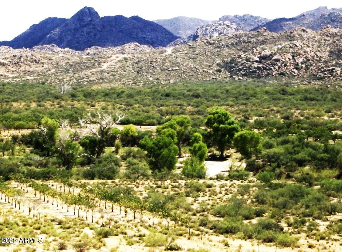 VACANT LAND - Land