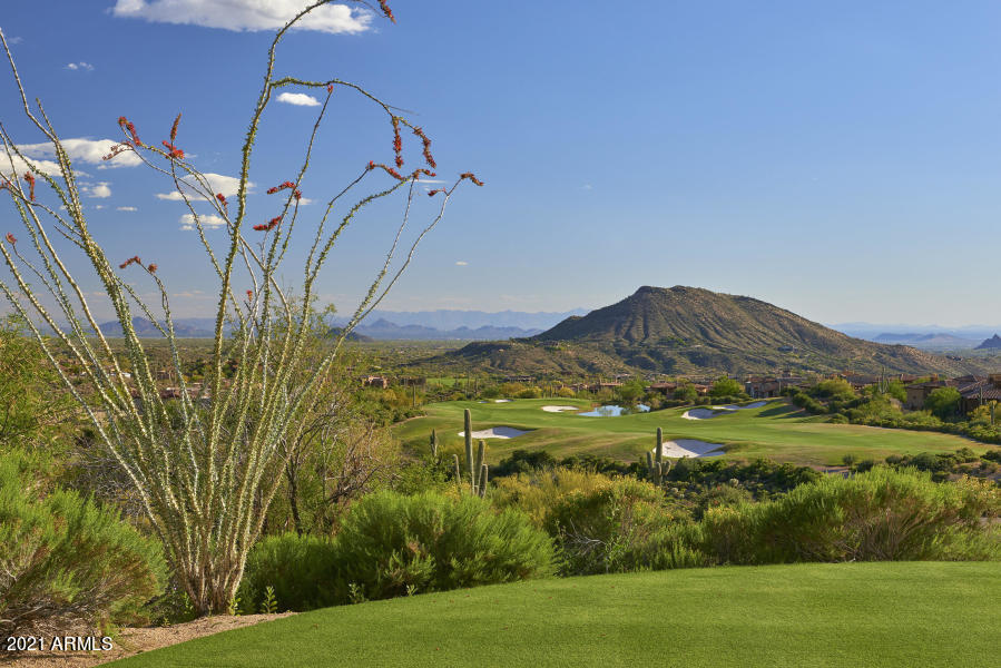 Desert Mountain - Residential