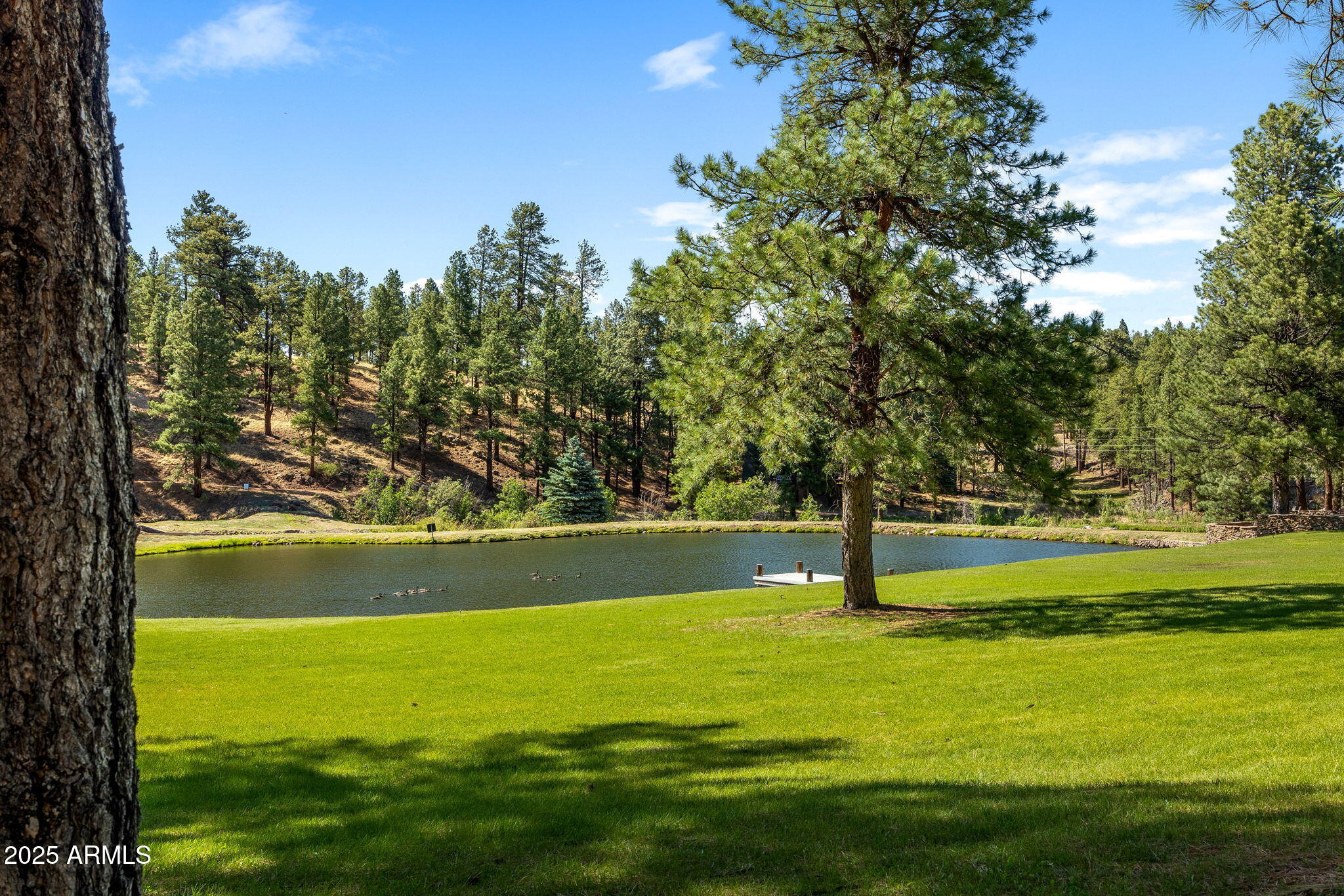 Greer - Residential