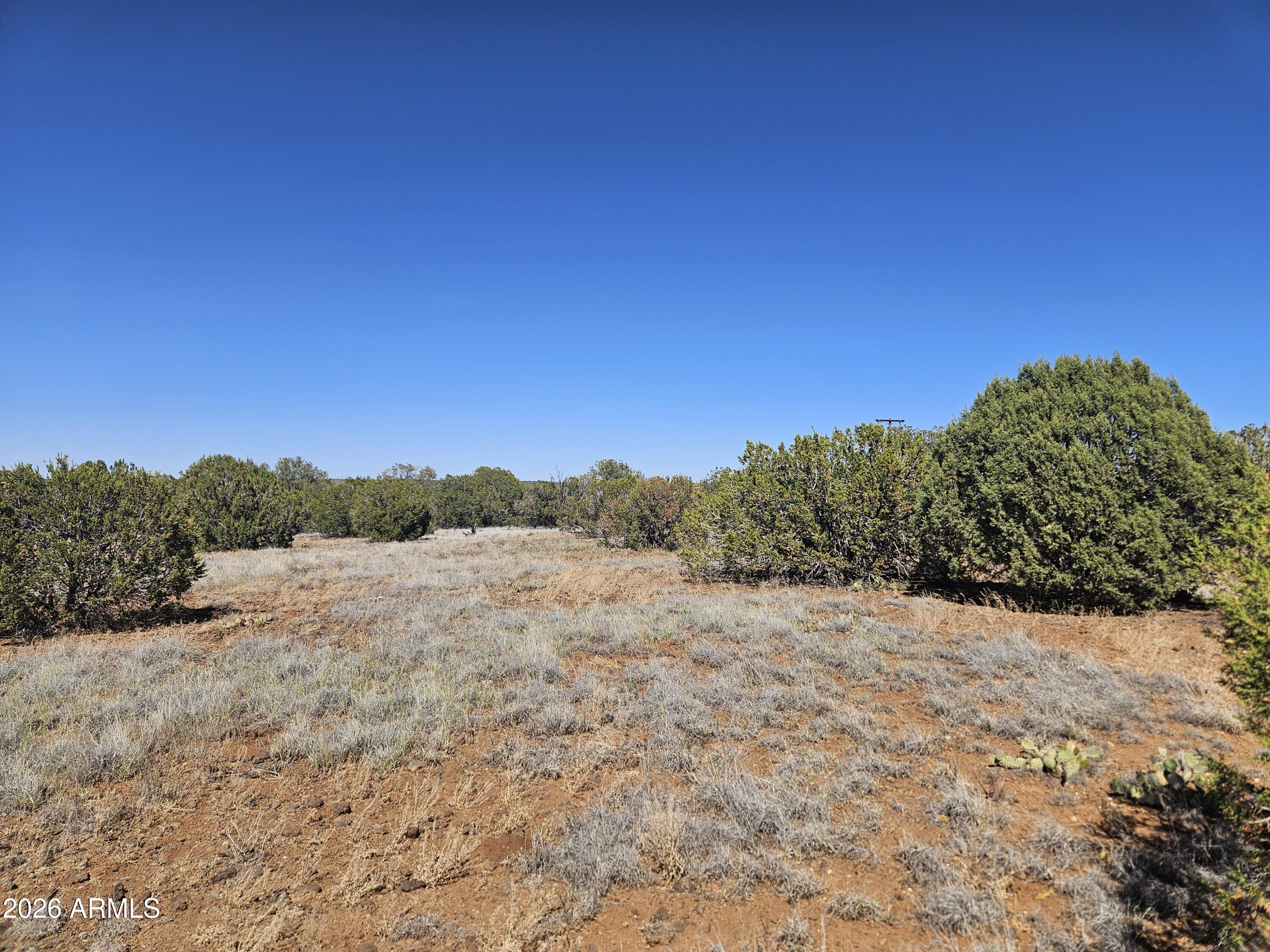 WHITE MOUNTAIN LAKE ESTATES - Land