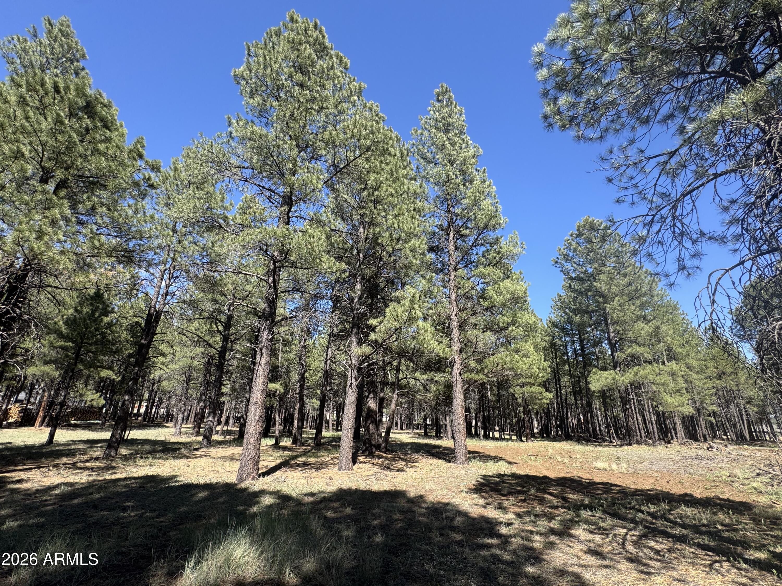 RANCH AT THE PEAKS PHASE 3 - Land