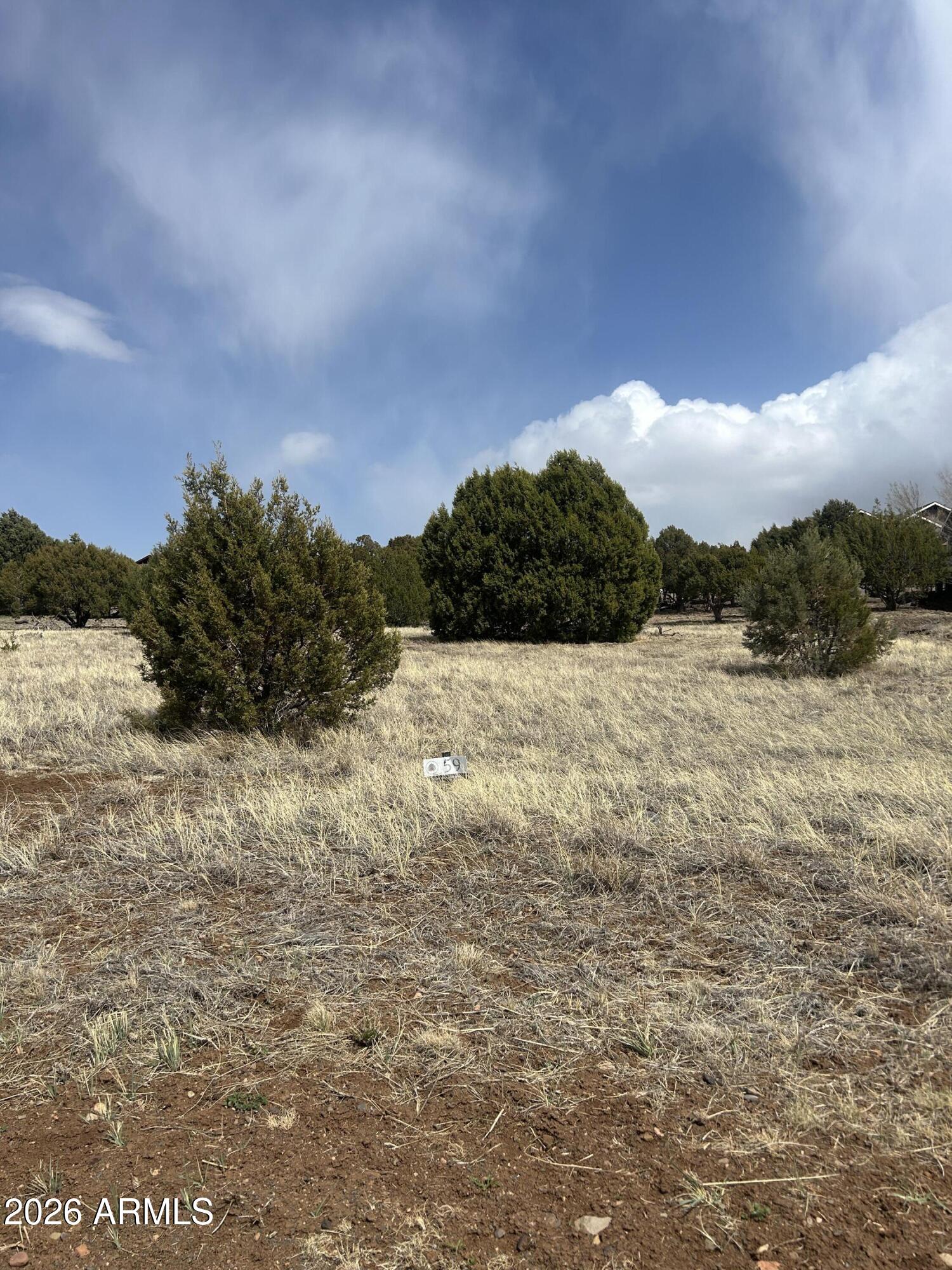 SHOW LOW BLUFF PHASE 1B - Land