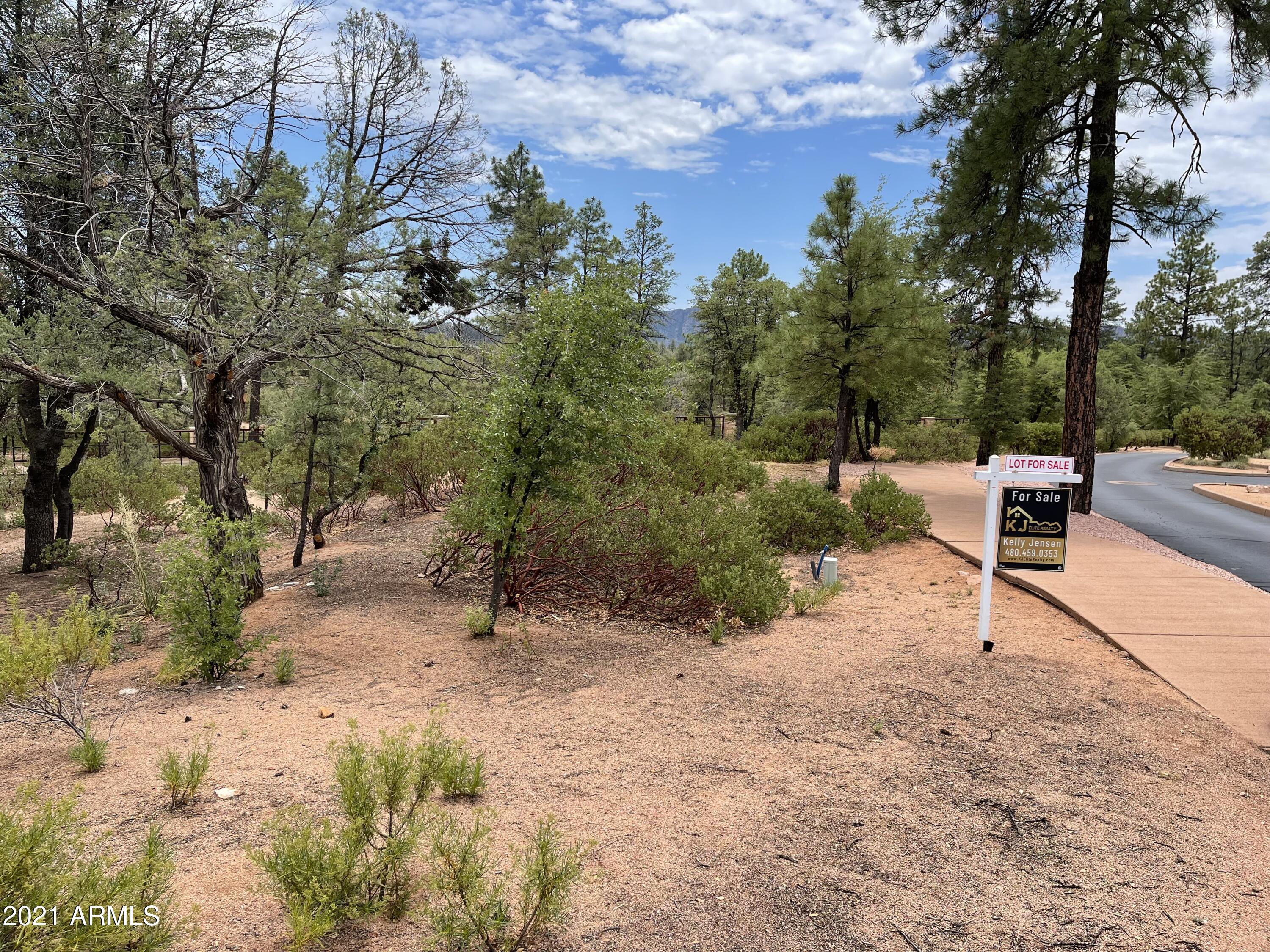 CHAPARRAL PINES PHASE 1 - Land