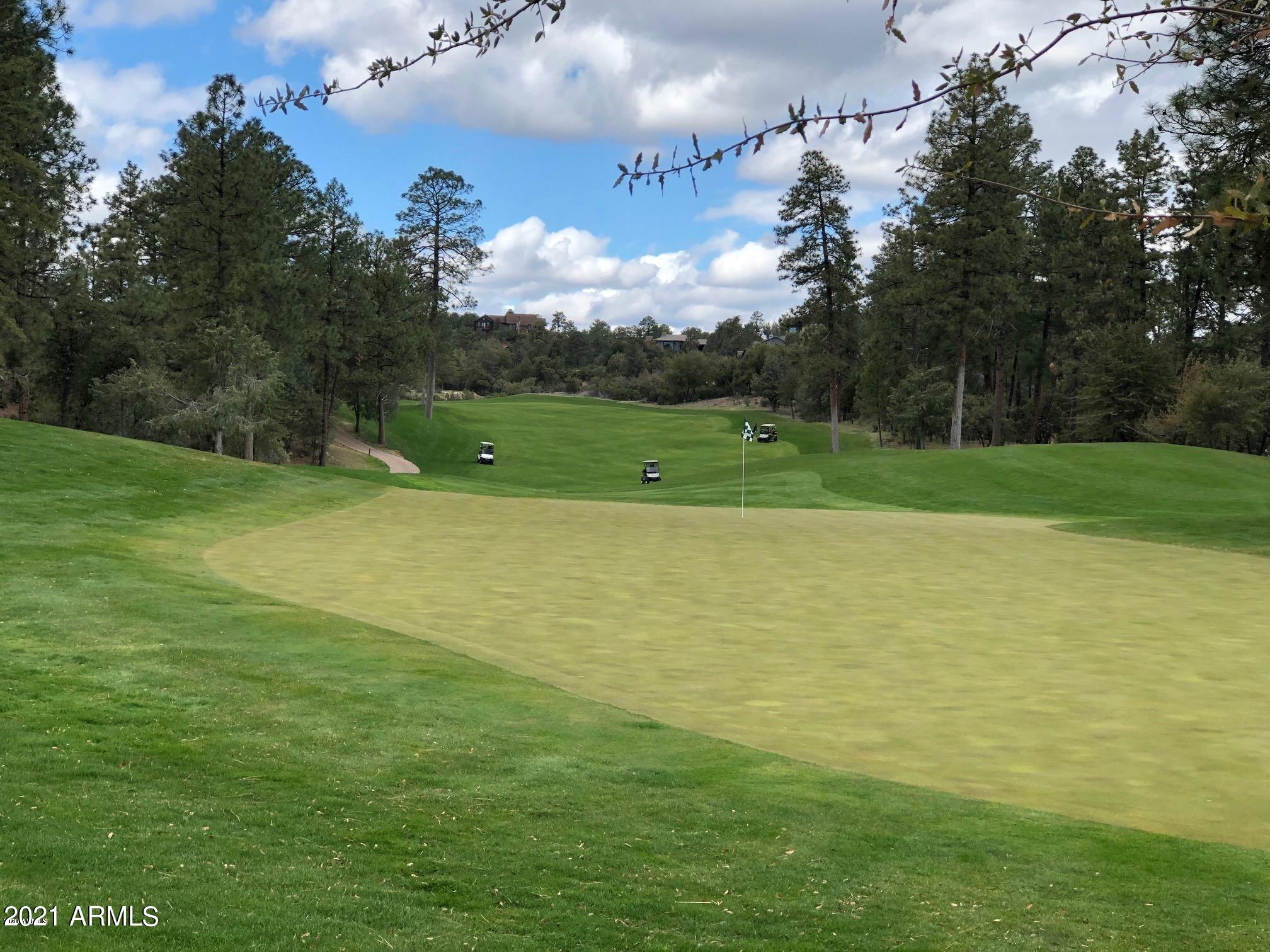 CHAPARRAL PINES PHASE 1 - Land