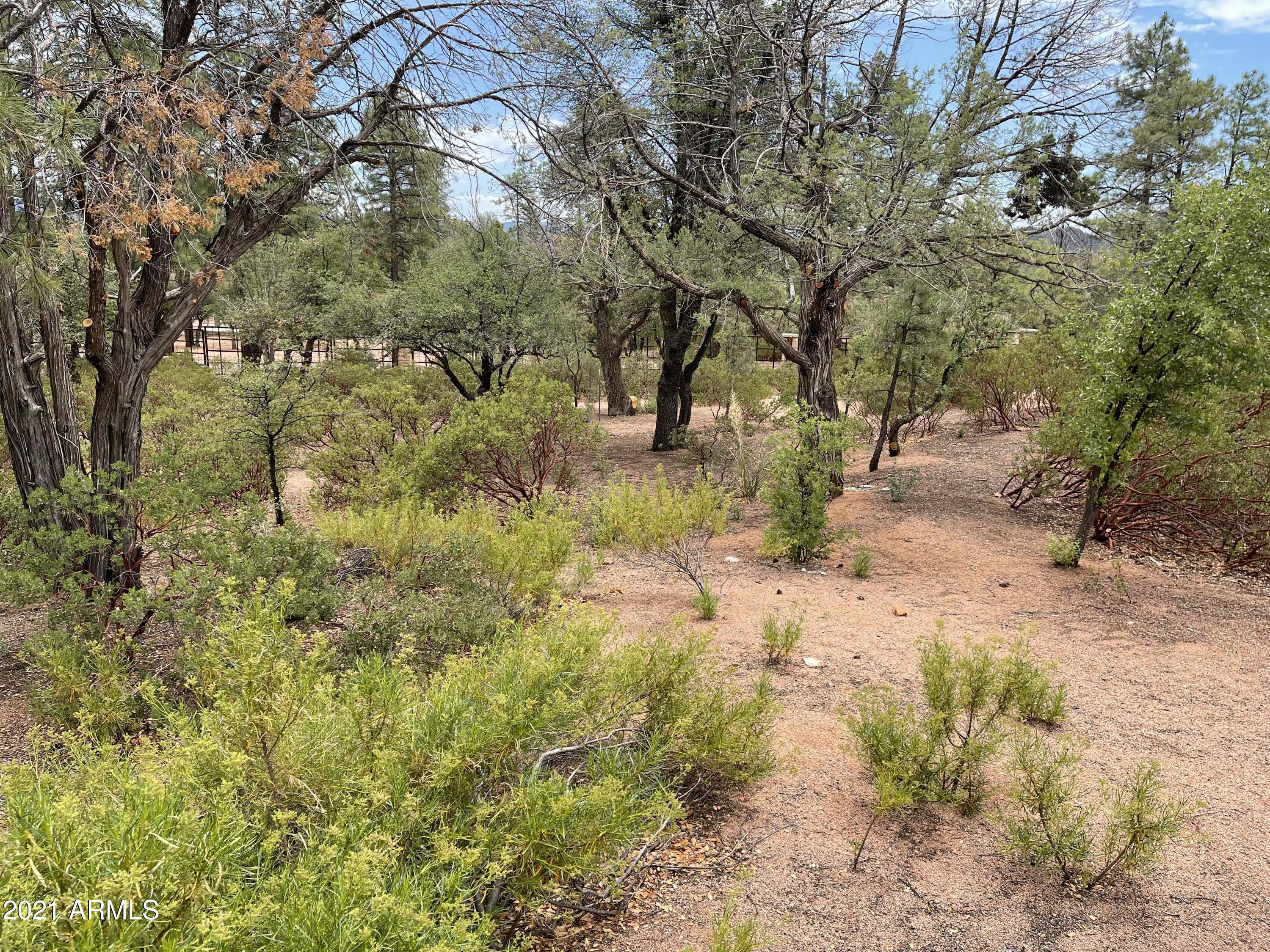 CHAPARRAL PINES PHASE 1 - Land