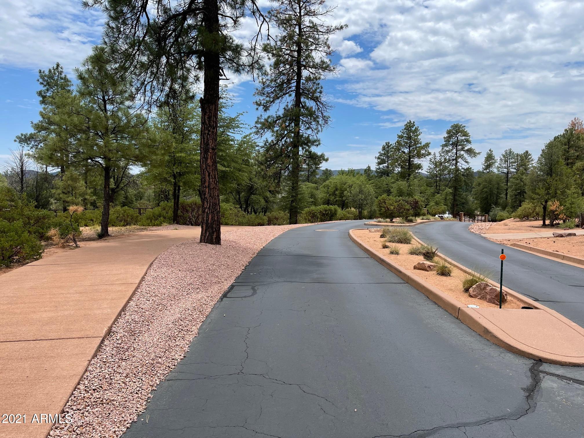 CHAPARRAL PINES PHASE 1 - Land