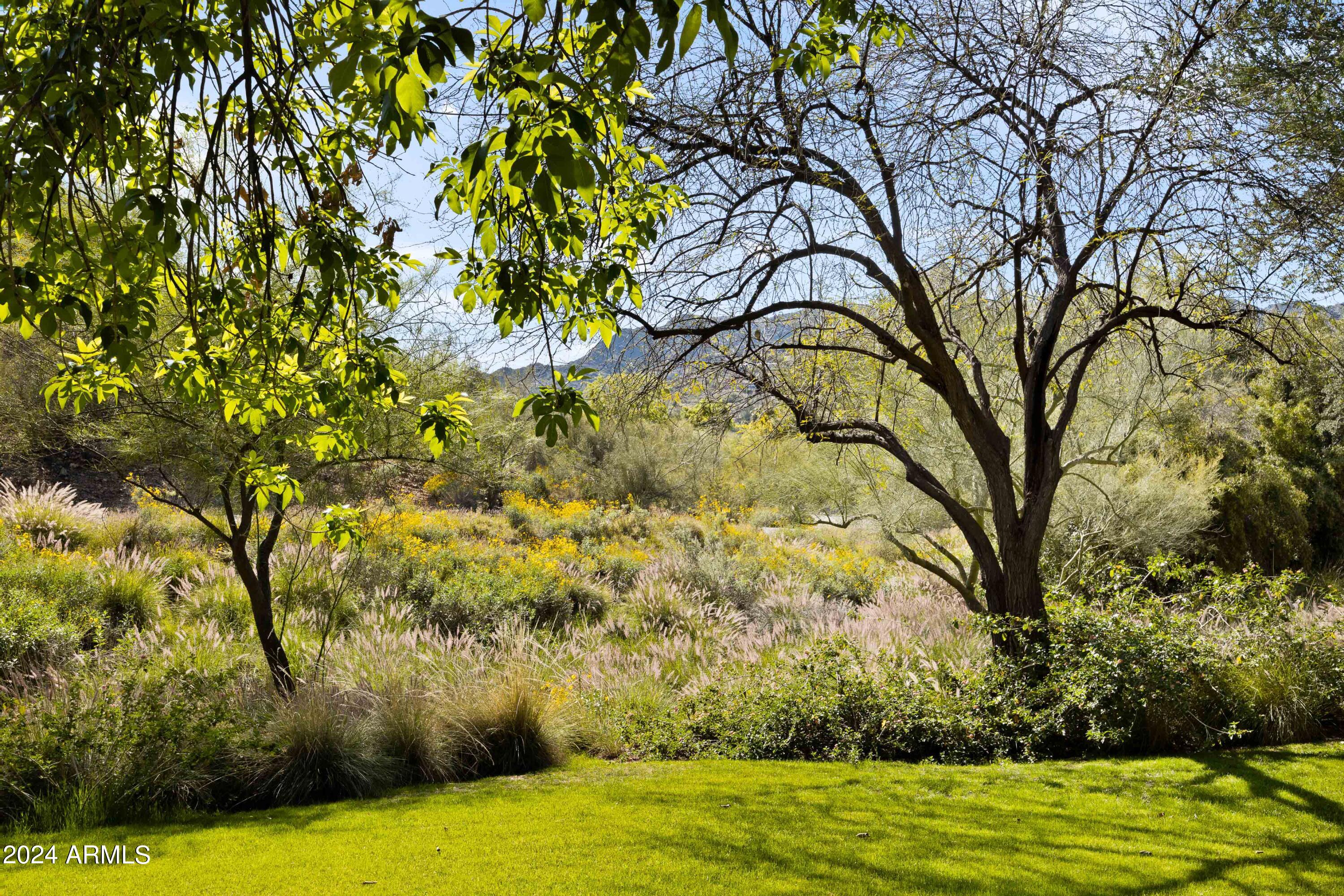 PARADISE HILLS LOT 68-99 - Residential
