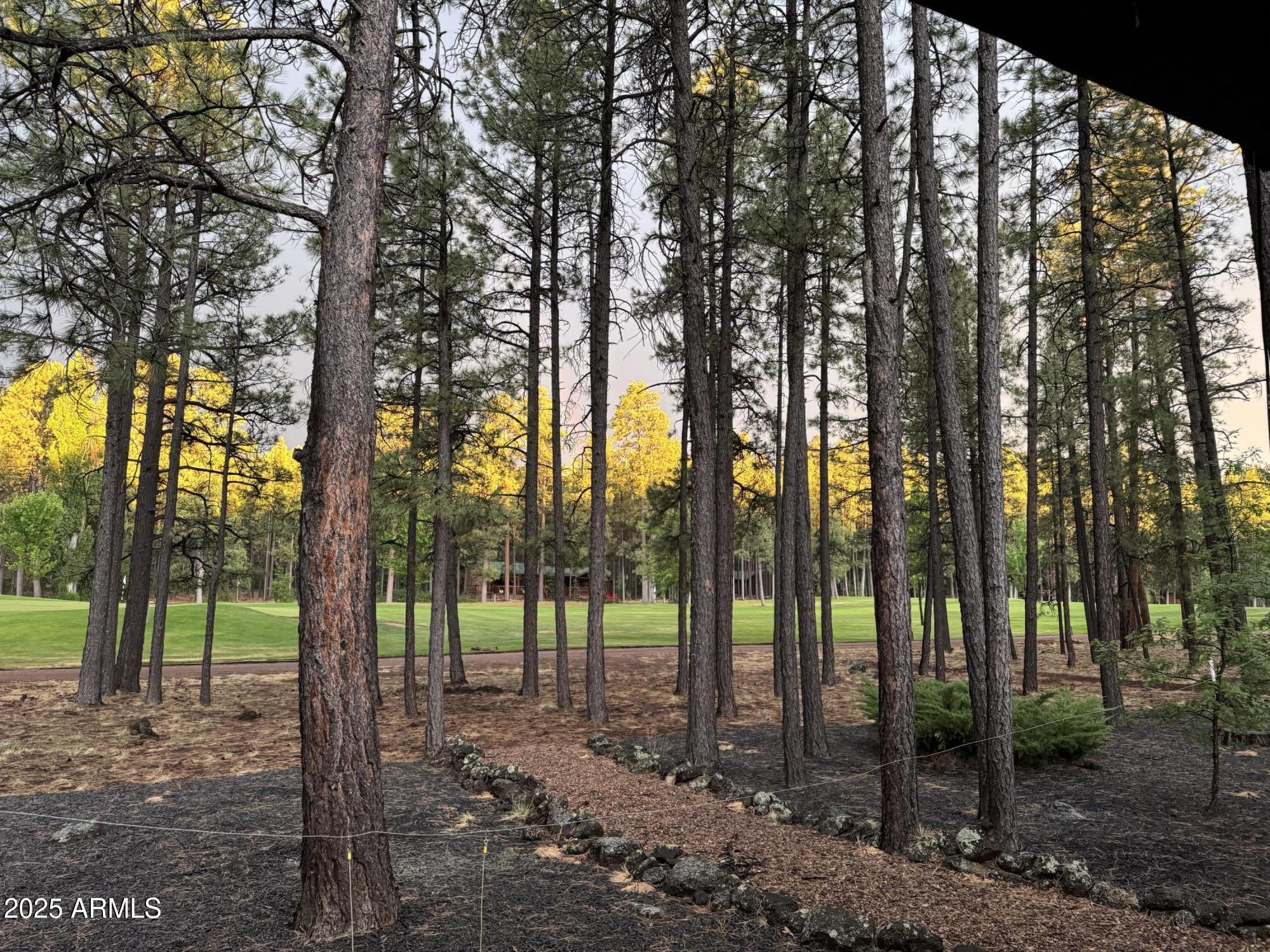 Pinetop Country Club - Residential