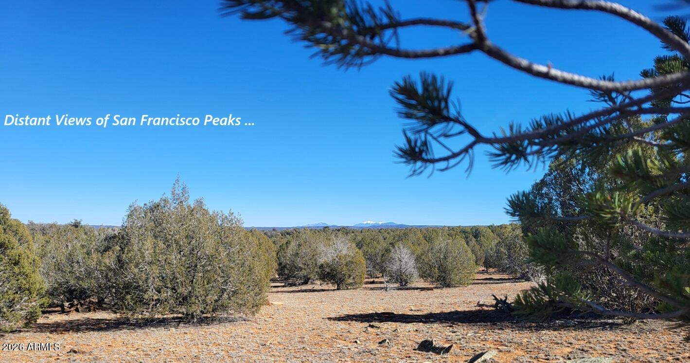 Westwood Ranches - Land