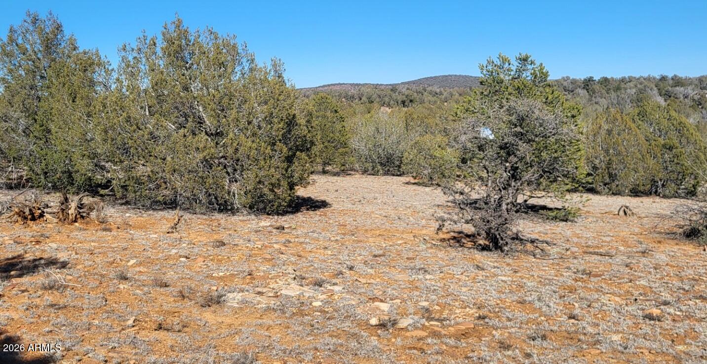 Westwood Ranches - Land