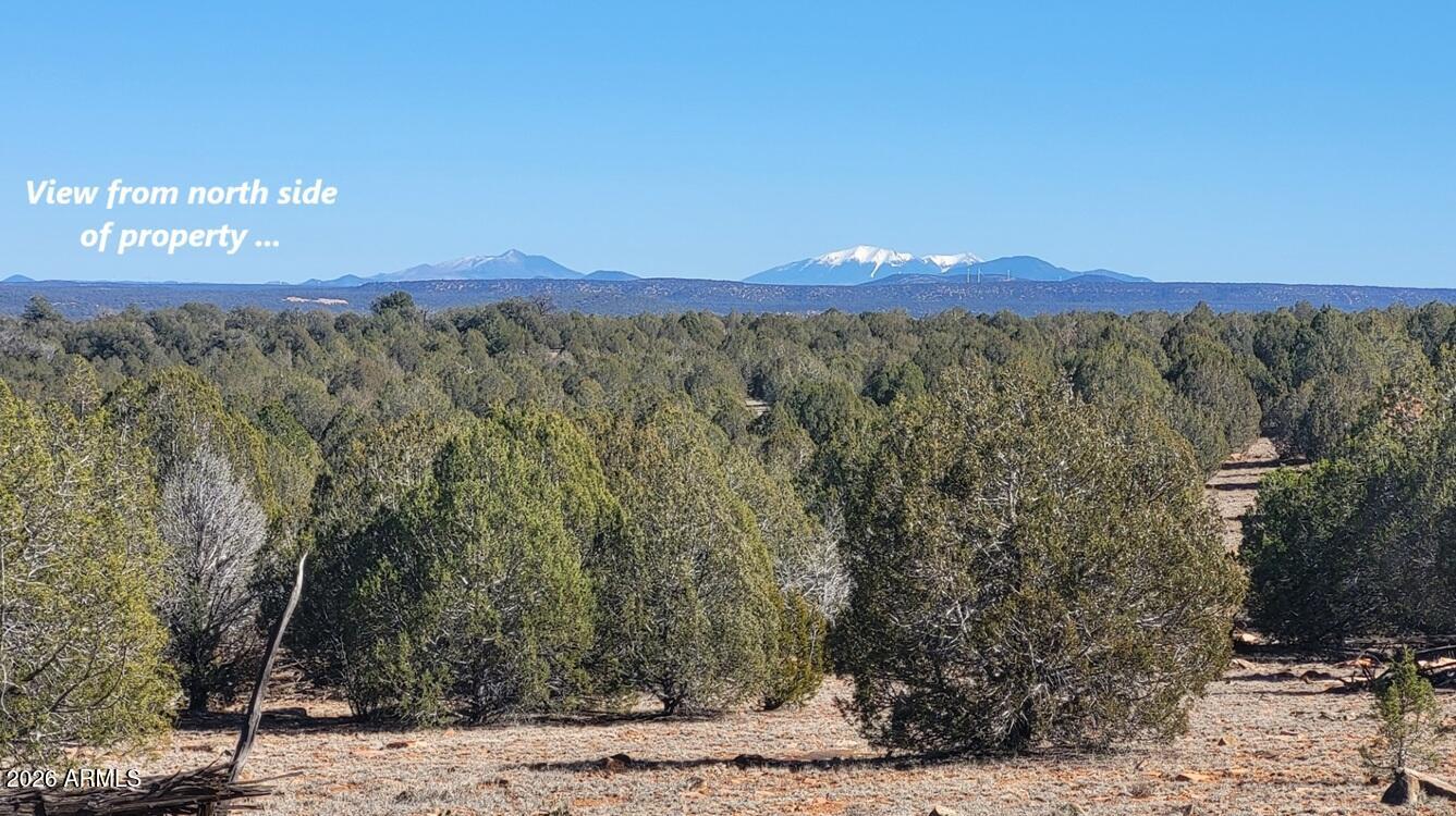 Nice Off-Grid property with Views of San Francisco Peaks. Nice open areas mixed with mostly mature juniper and scattered black bark pine. There is a watershed running through the property. Lots of flagstone you could use for building. There is a road association but NO HOAs. Yeah ! Elk and Deer Country in the middle of hunt unit 10. Addressing would be Williams, AZ. The west 20 acres is available if you wanted a 40 acre property.