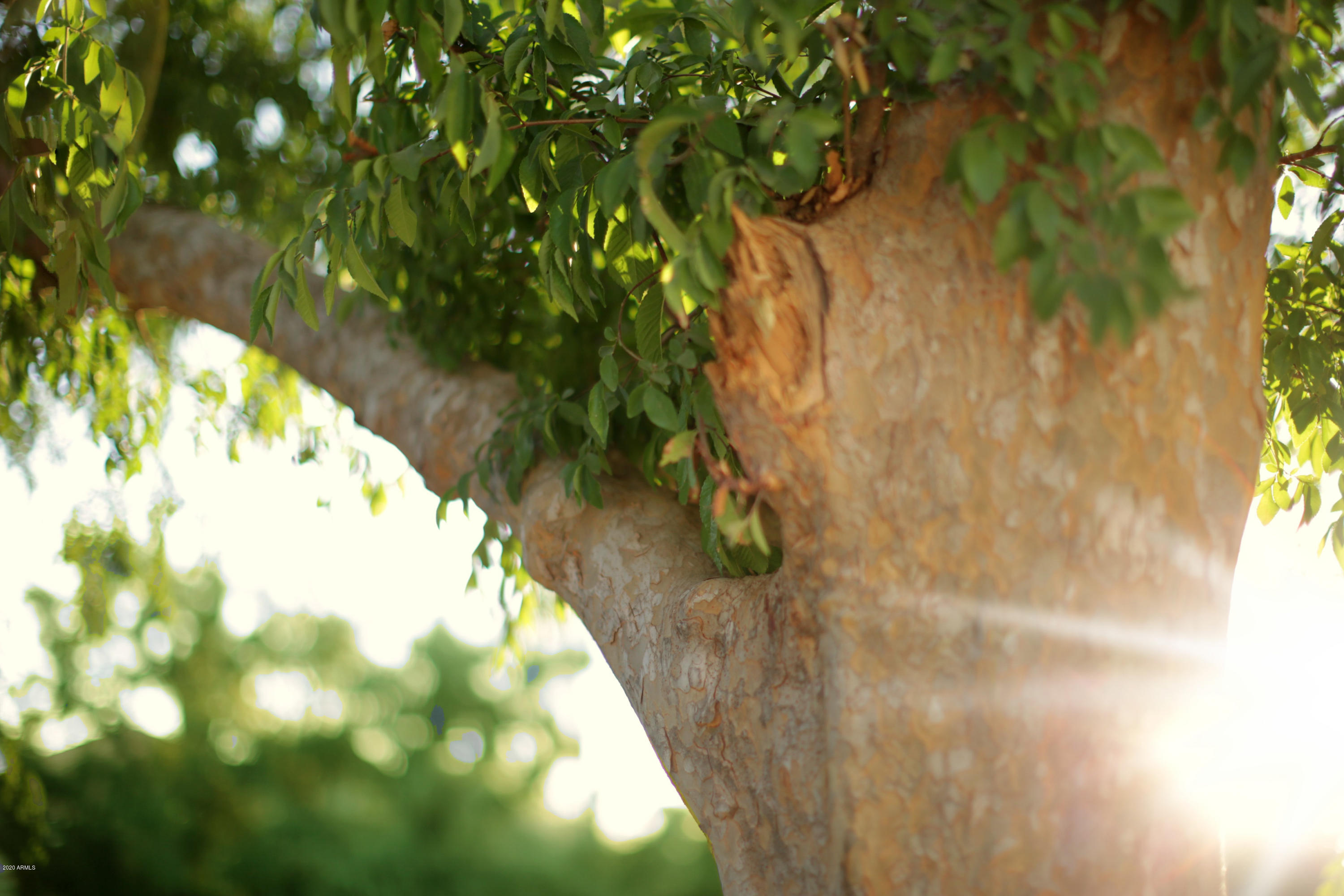 Camelback Country Estates - Residential