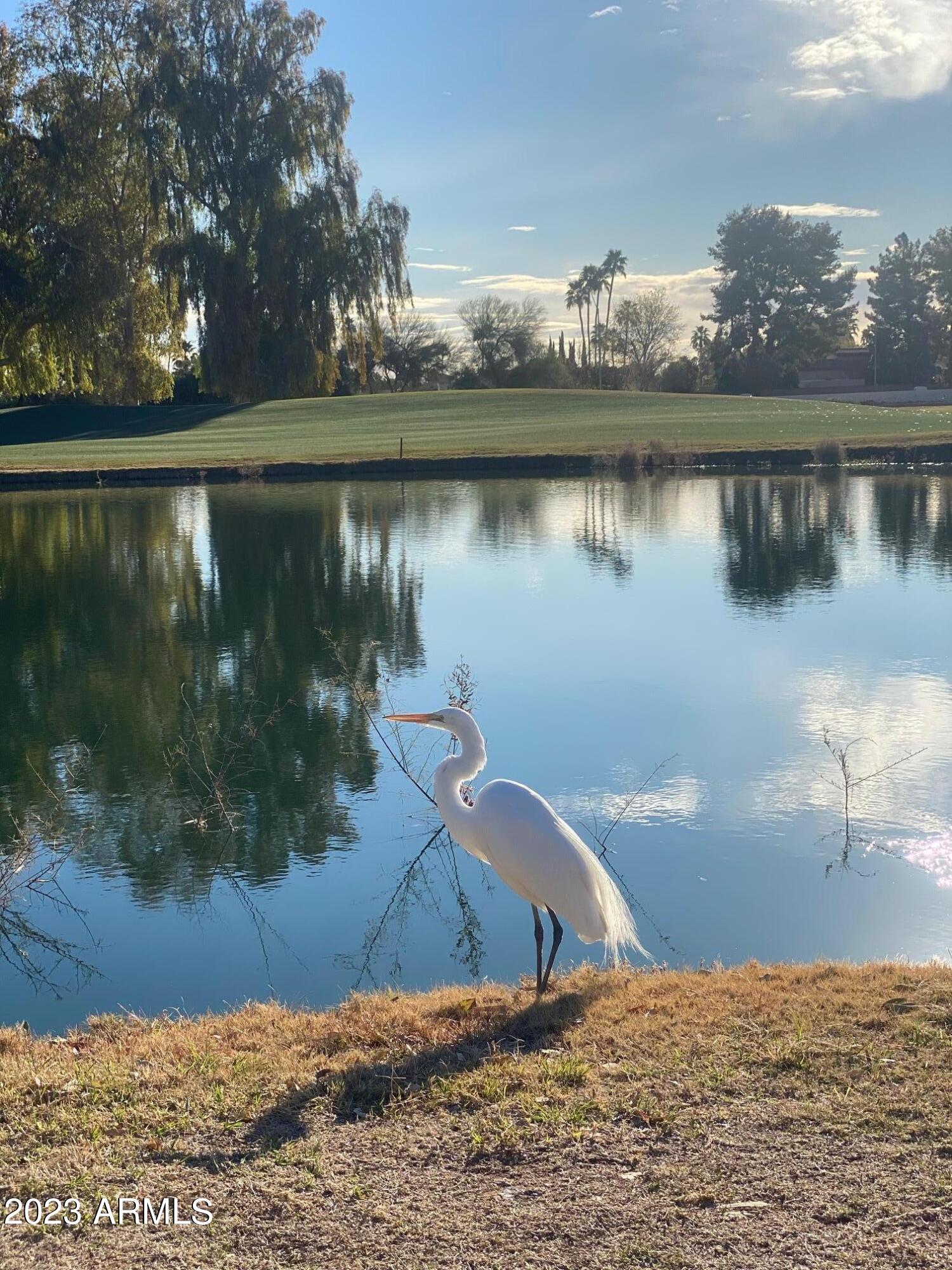 CAMELBACK COUNTRY CLUB ESTATES 3 - Residential