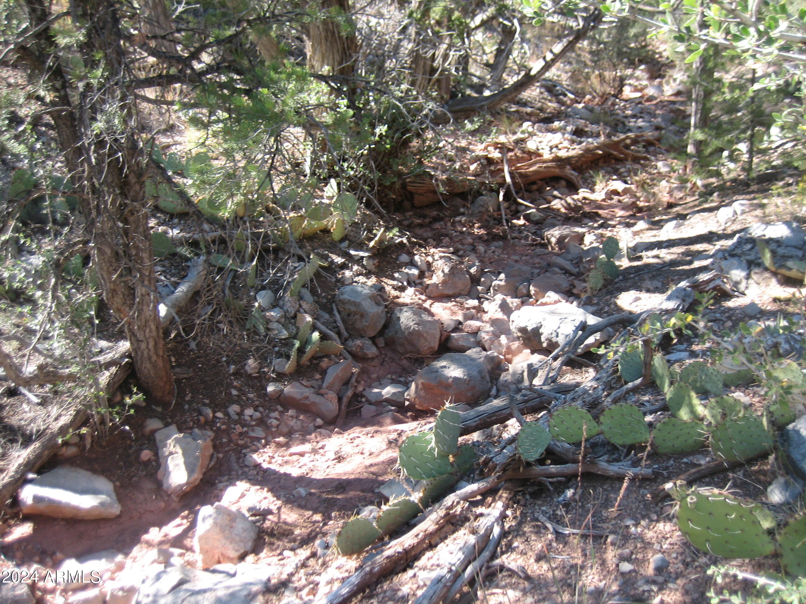 SIERRA VERDE RANCH UNIT 35 - Land