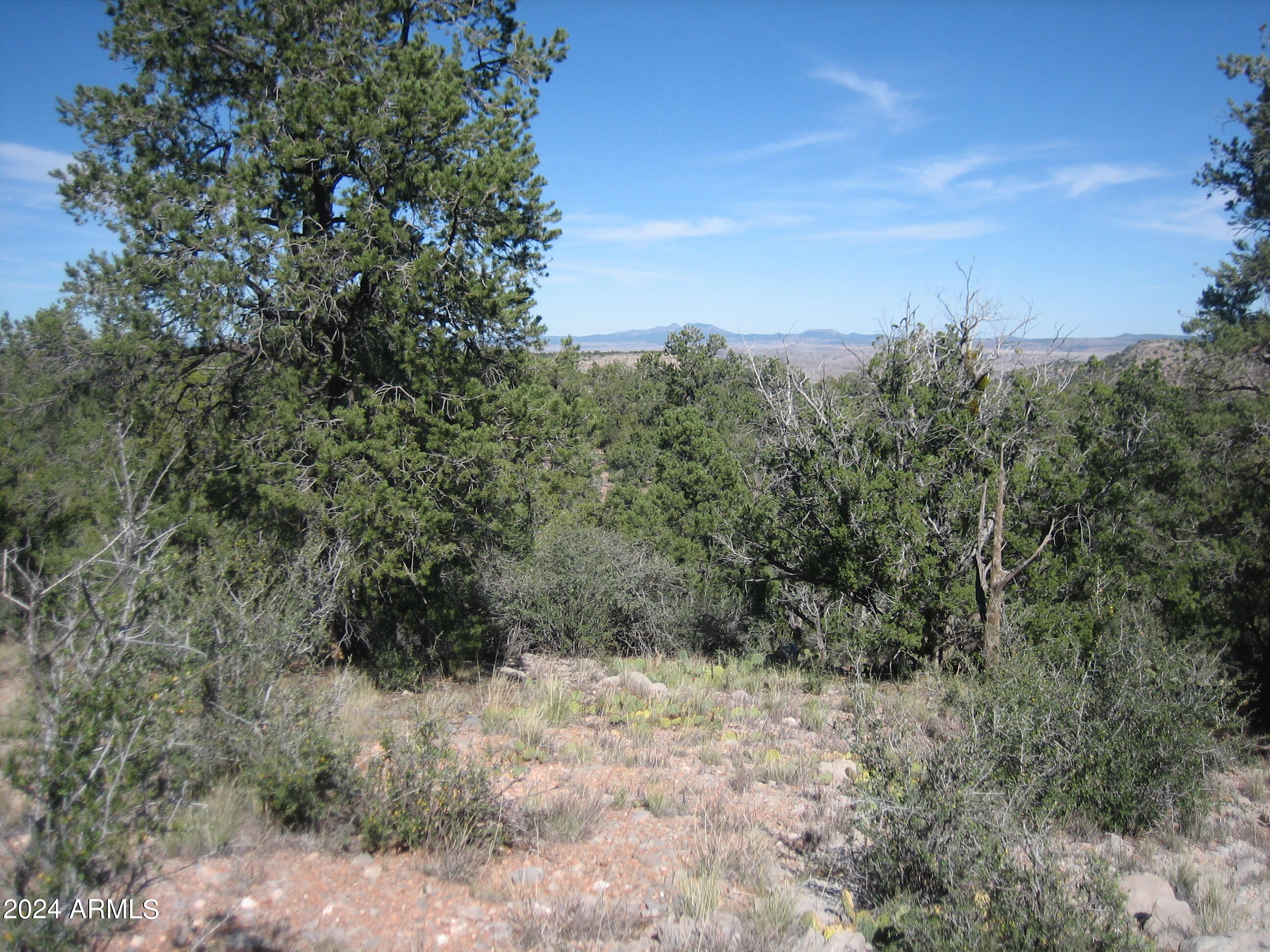 SIERRA VERDE RANCH UNIT 35 - Land